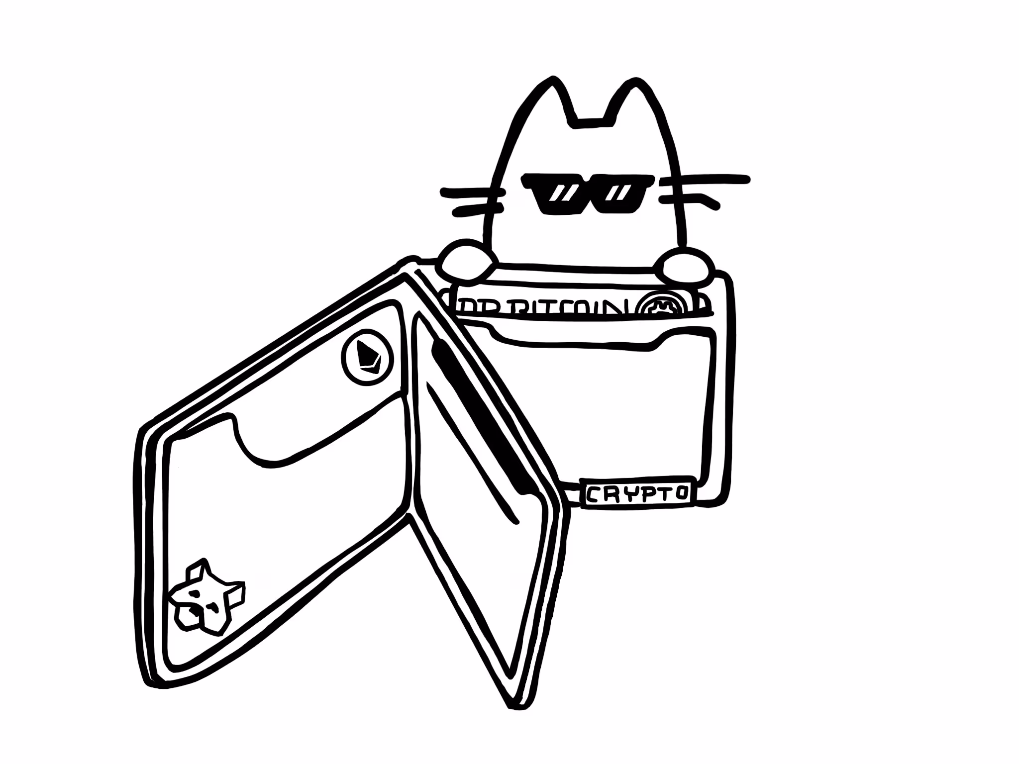#3 Cool Cat in Cryptowallet