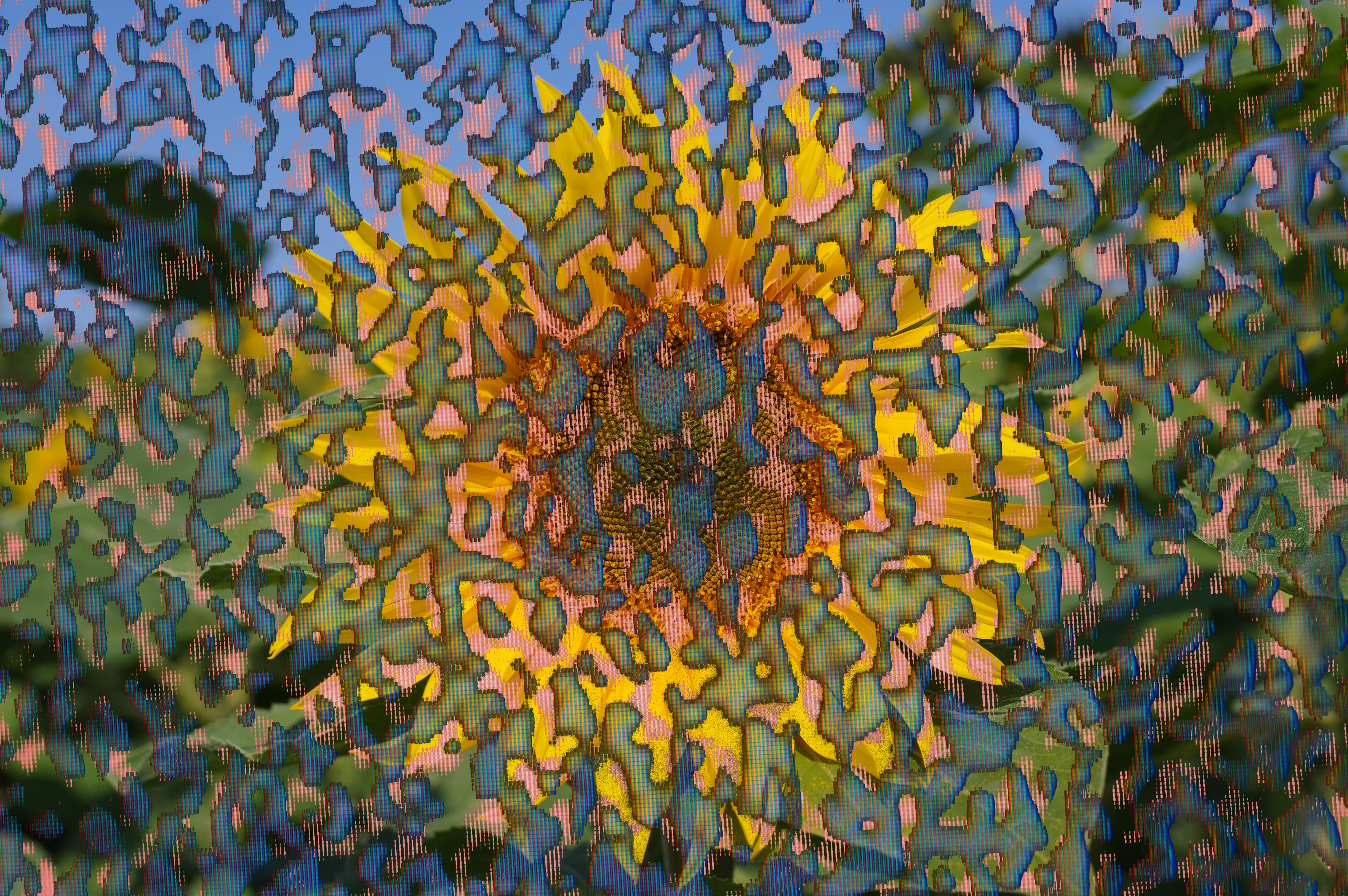 Sun Impactflower #3 : Indifference