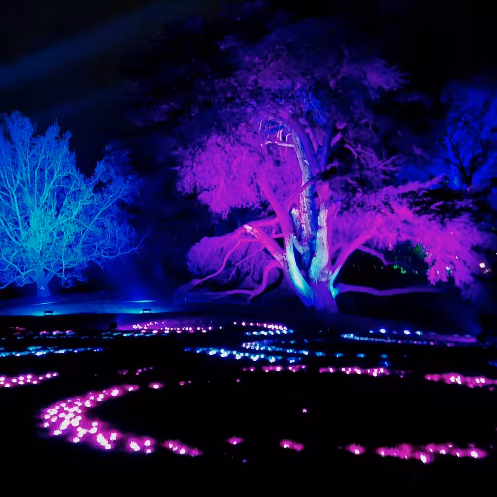 Lightscape - ground lights #1