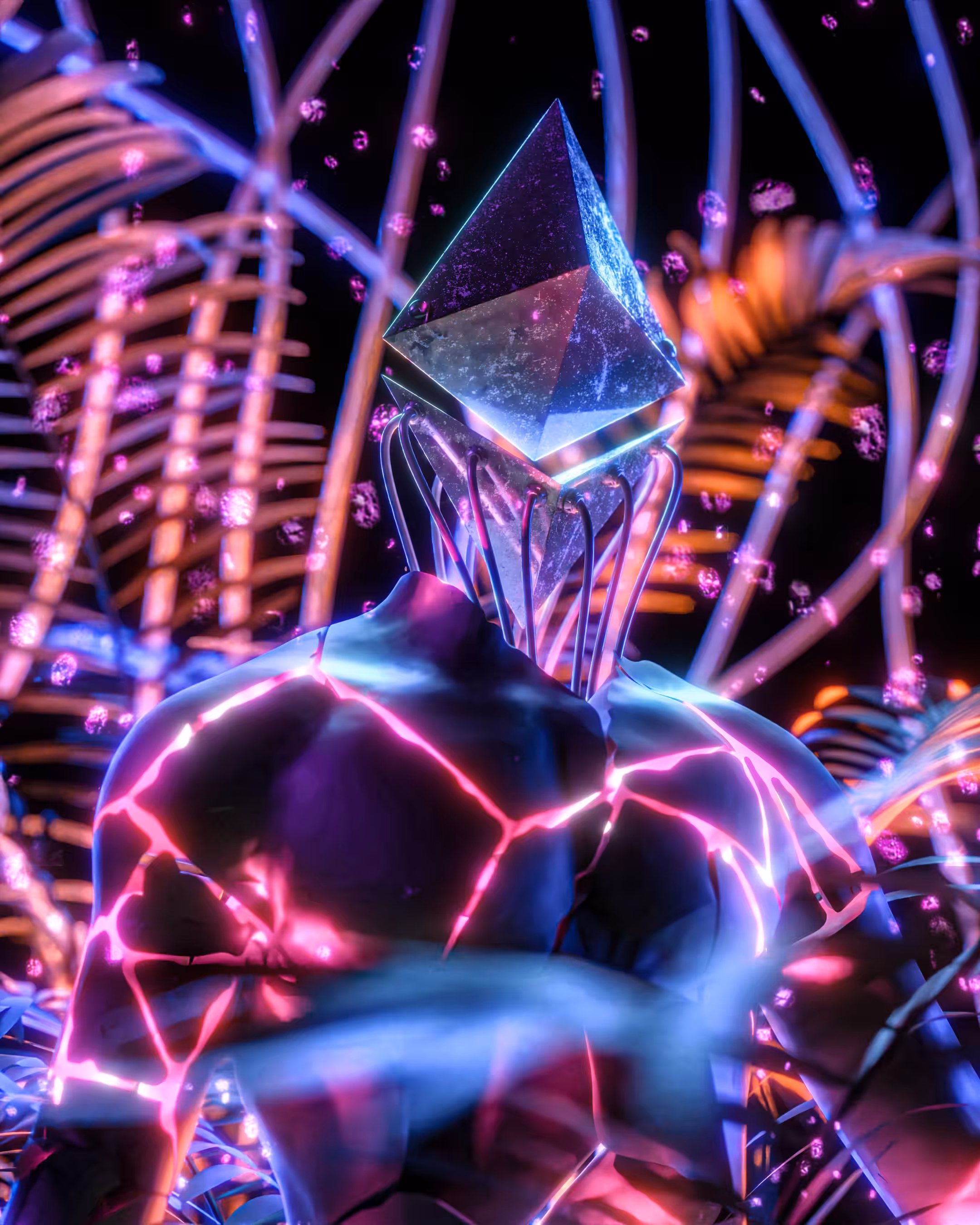 𝐅𝐋𝐎𝐆𝐀