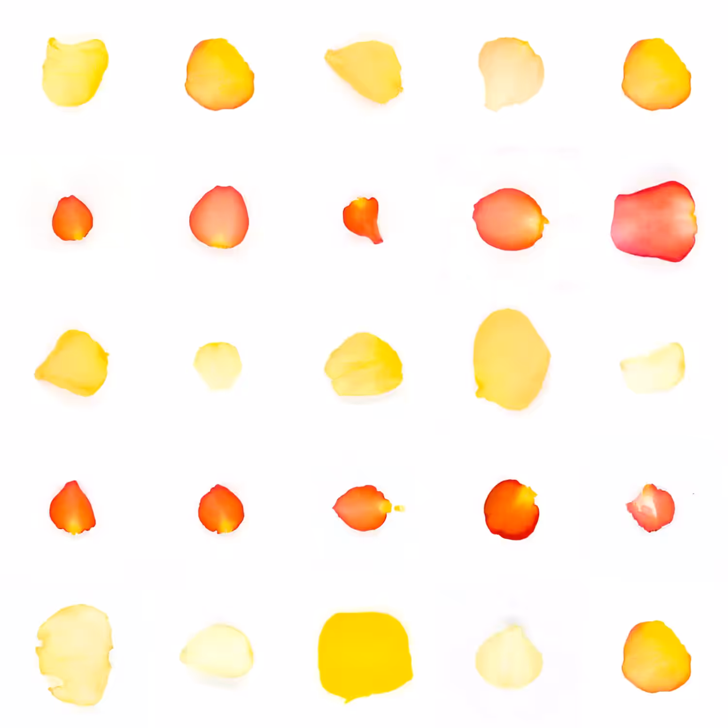 Infinite Petals 5x5#21404