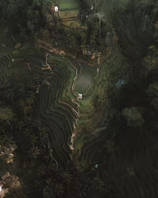#11 Into The Jungle