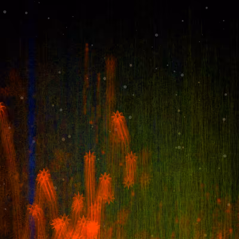 Specters of nature #112
