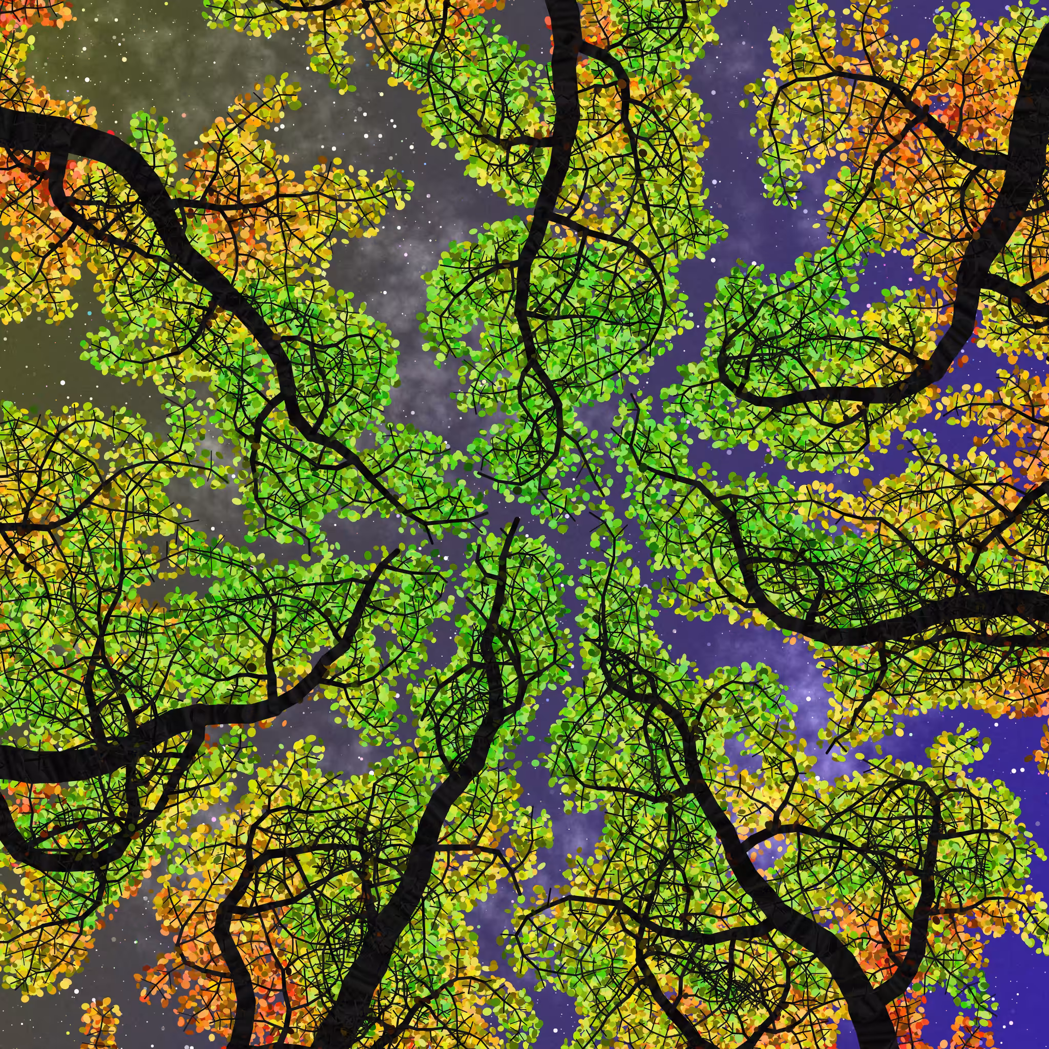 Tree Skyness #41