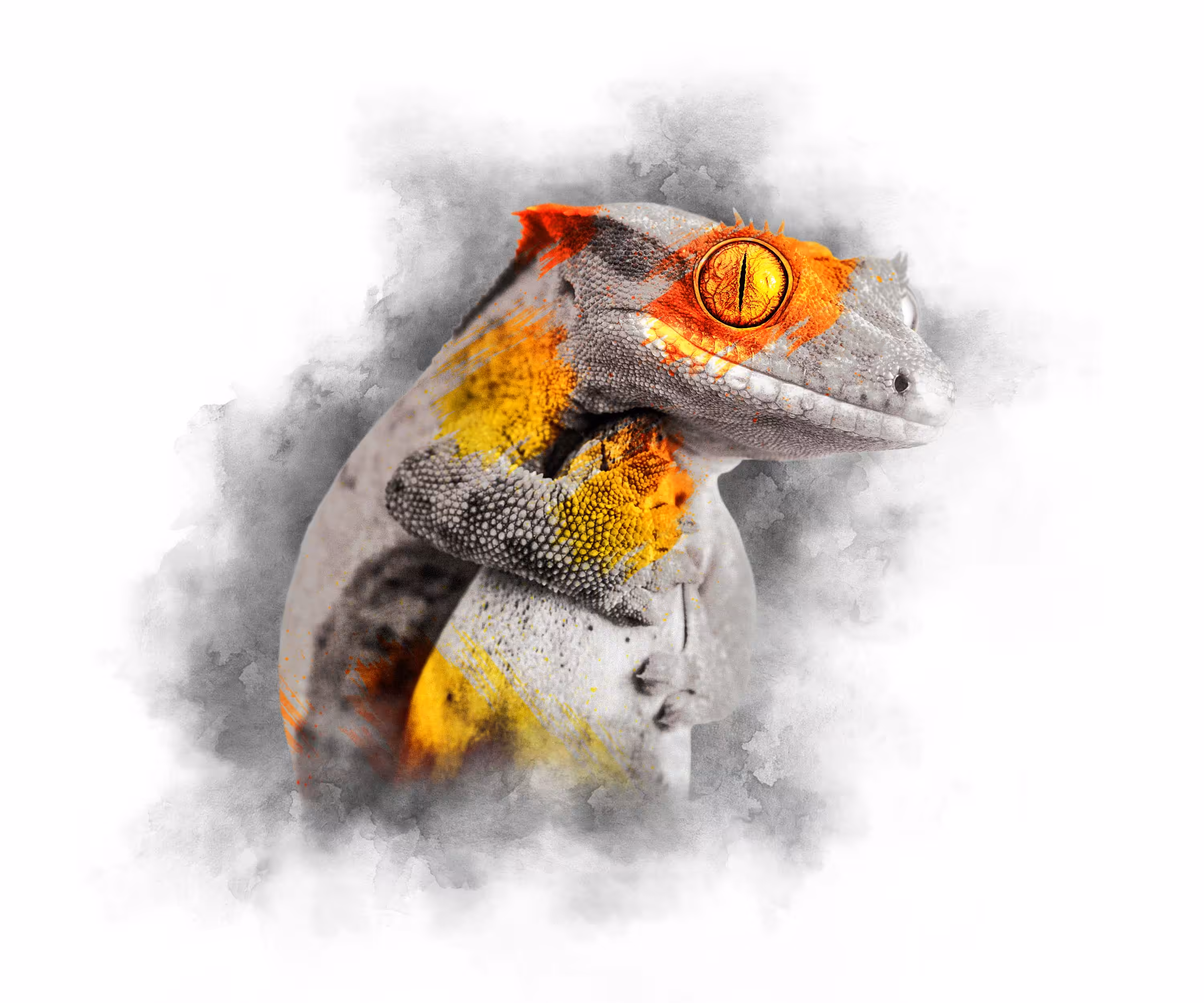 The Animal Kingdom Collection: FIRE SERIES - CRESTED GECKO