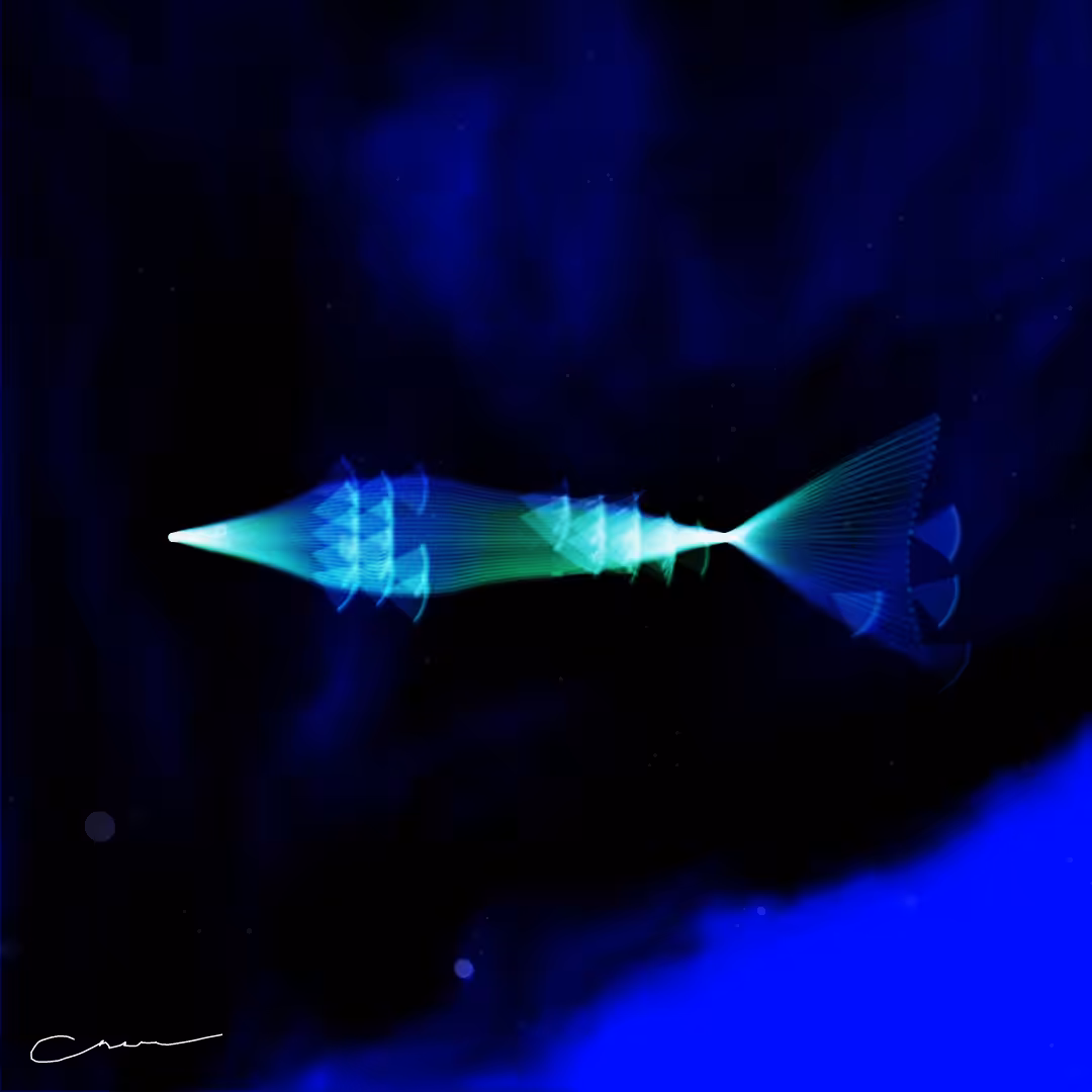 SoulFish #270