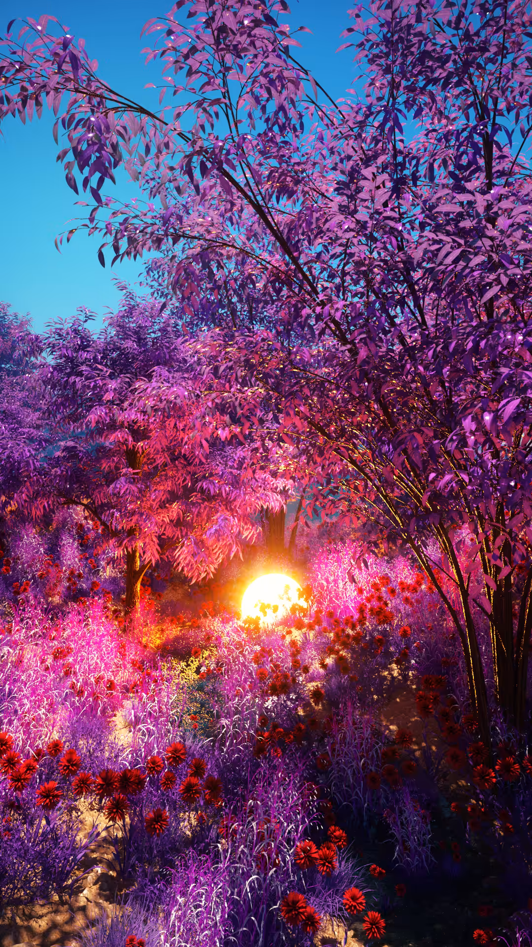 Purple Monthly Subscription #5