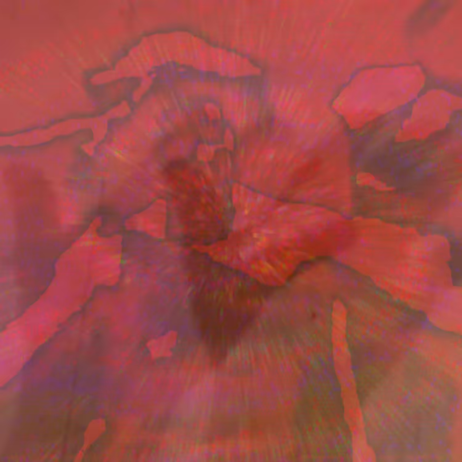 echoes