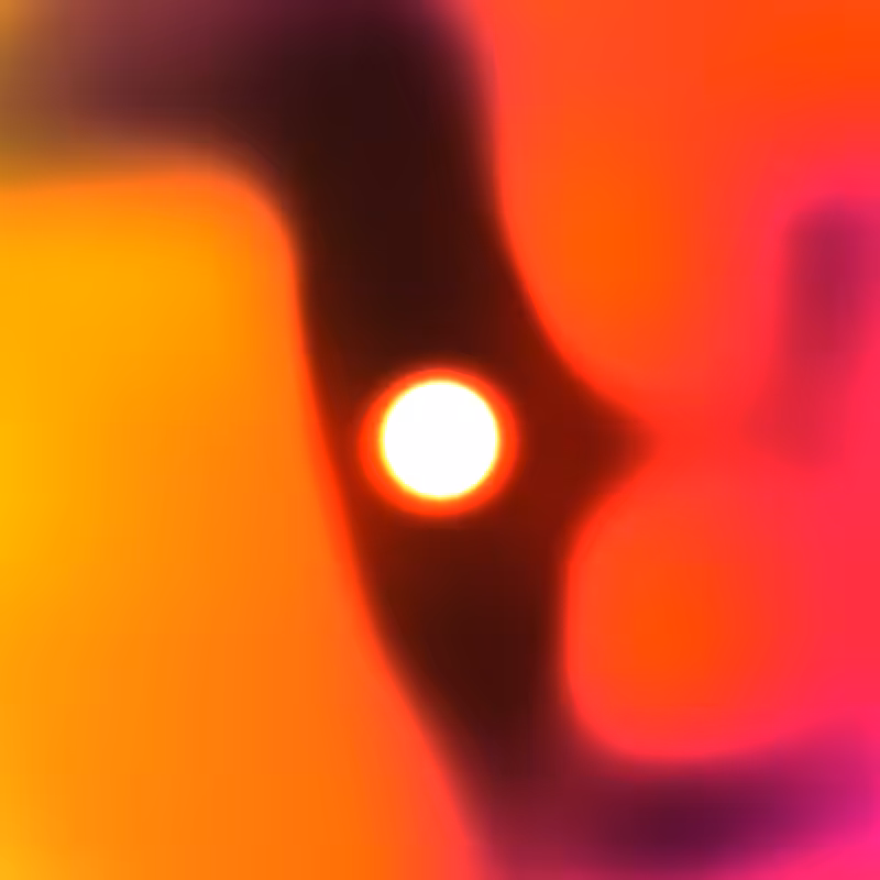Sol #12