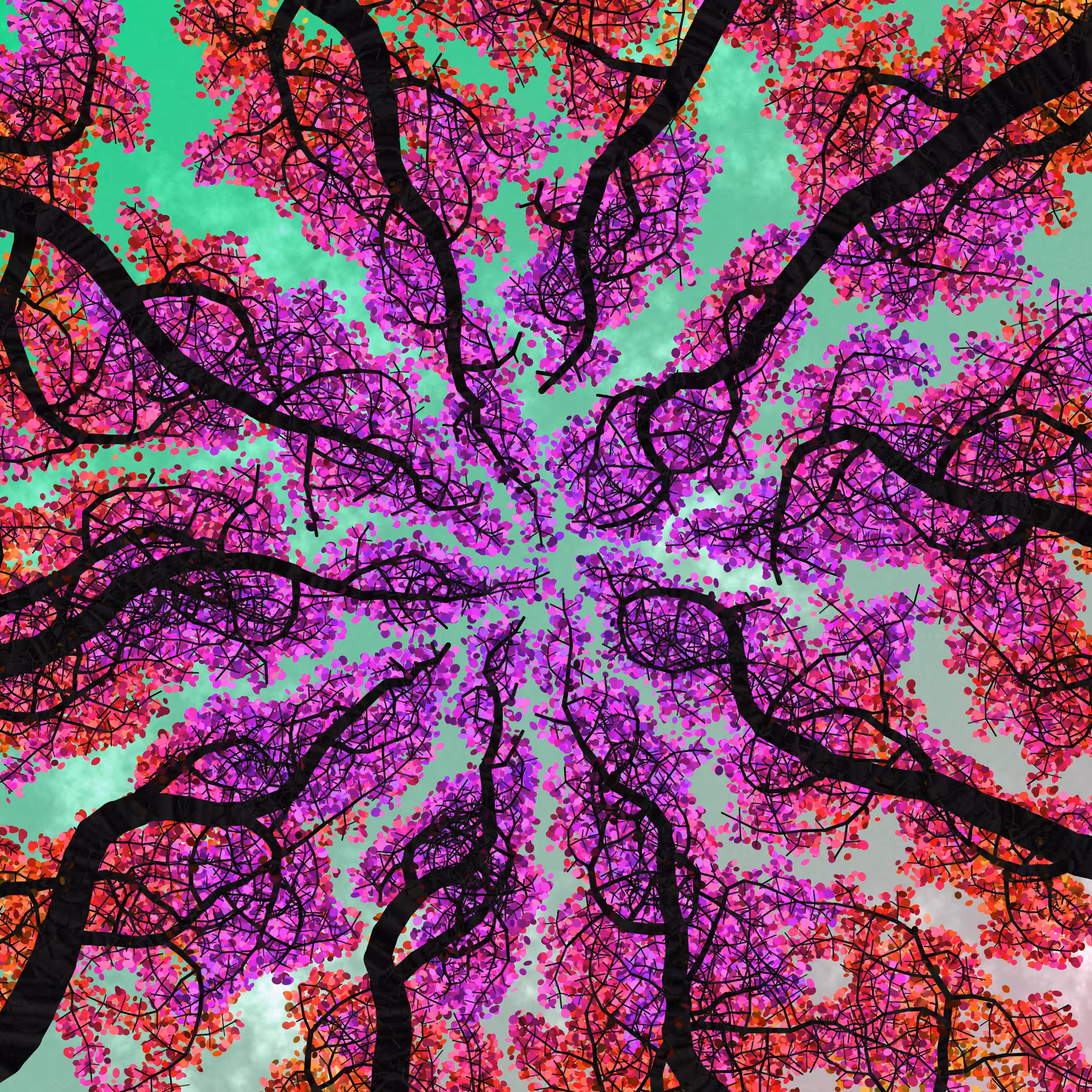Tree Skyness #155
