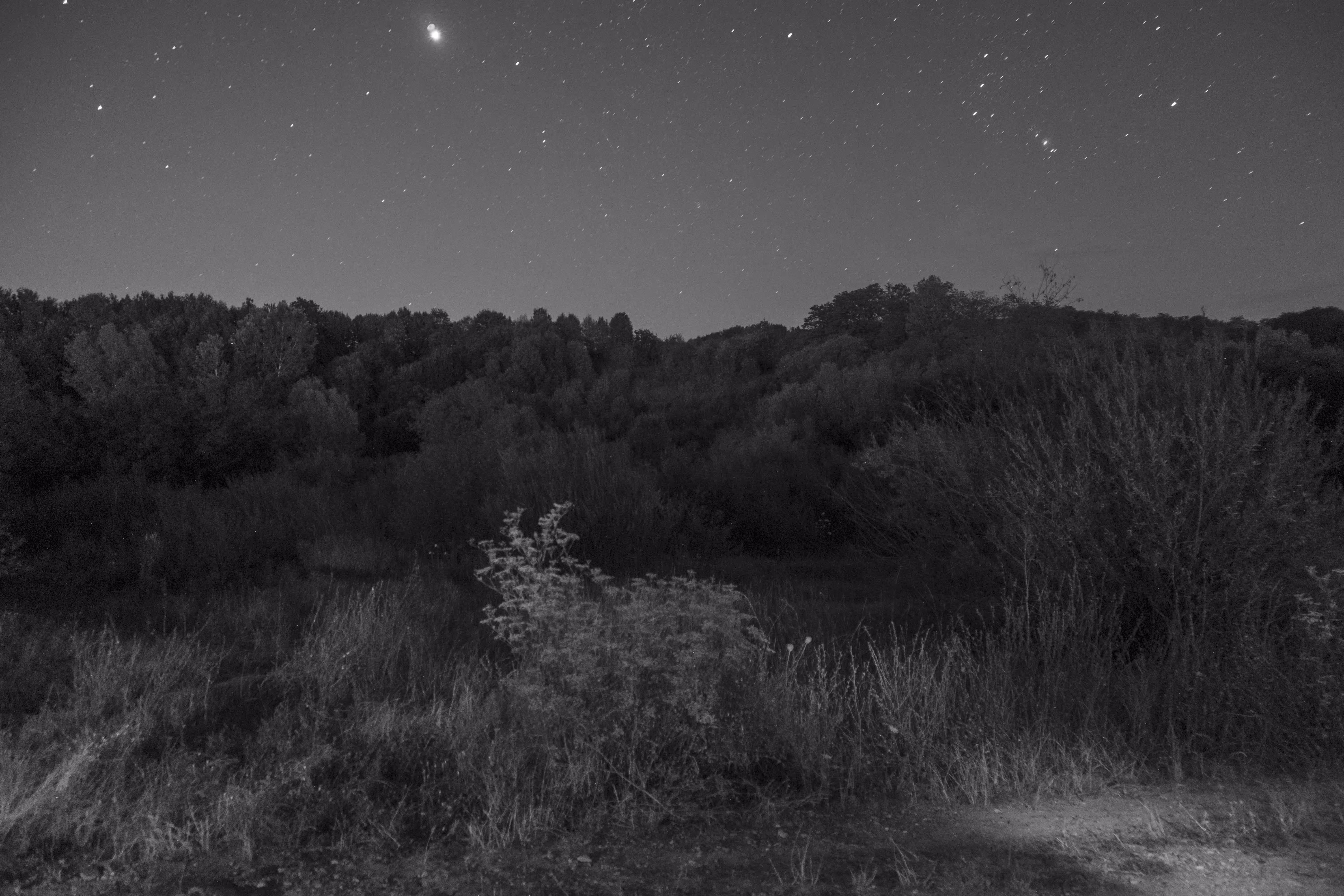 midnight in a perfect world #18