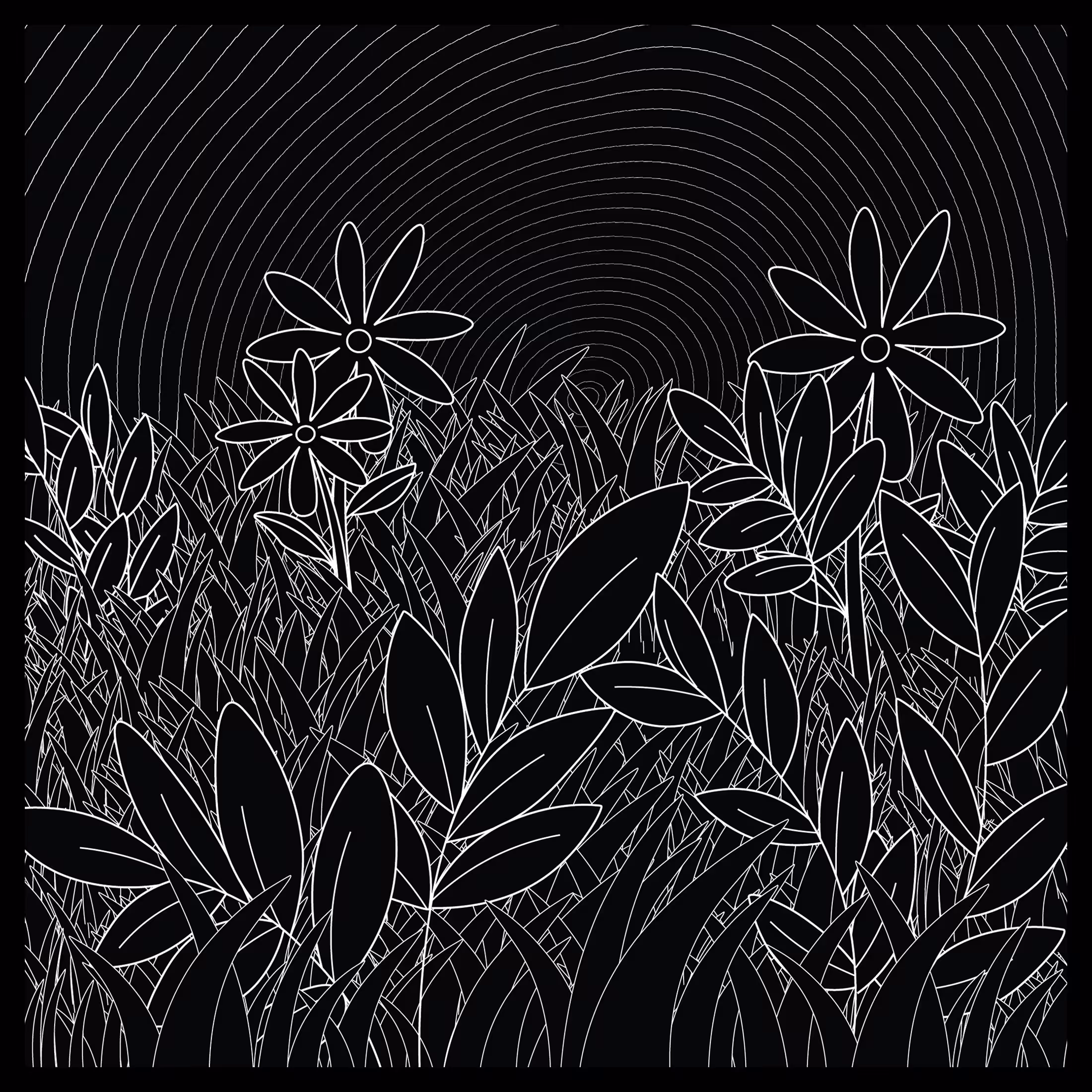 BWGarden #01