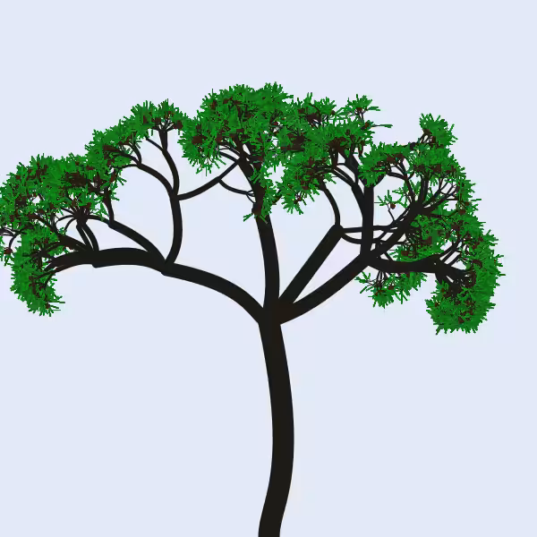 Procedural Maritime Pine 729187