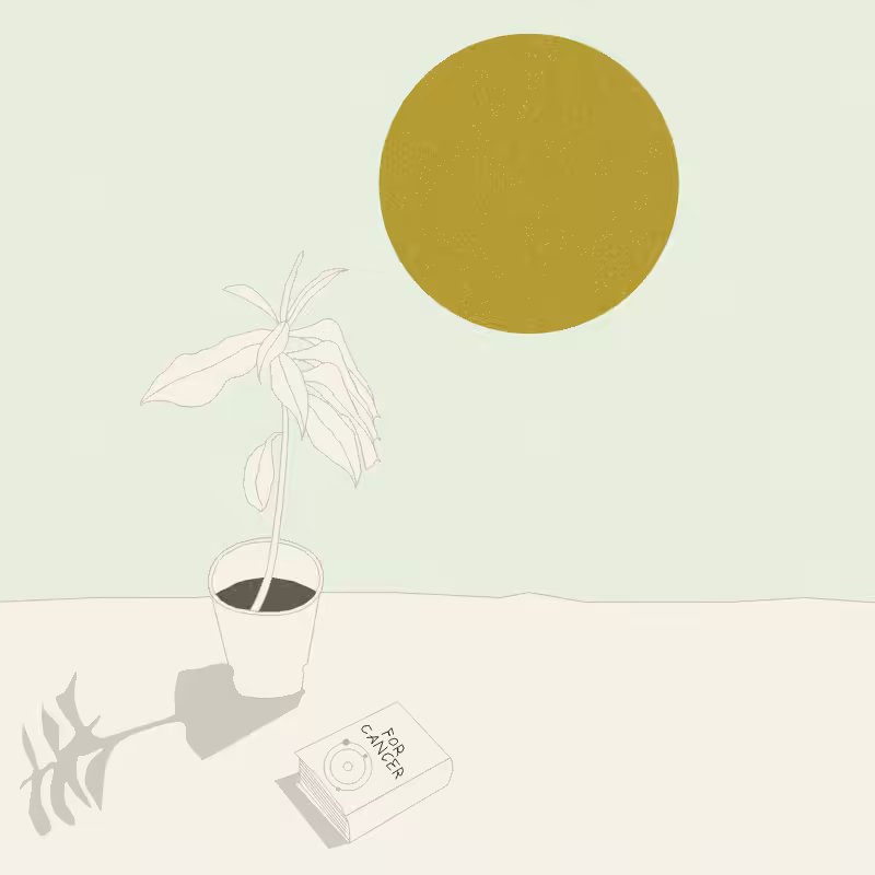 Still Life #12 #20