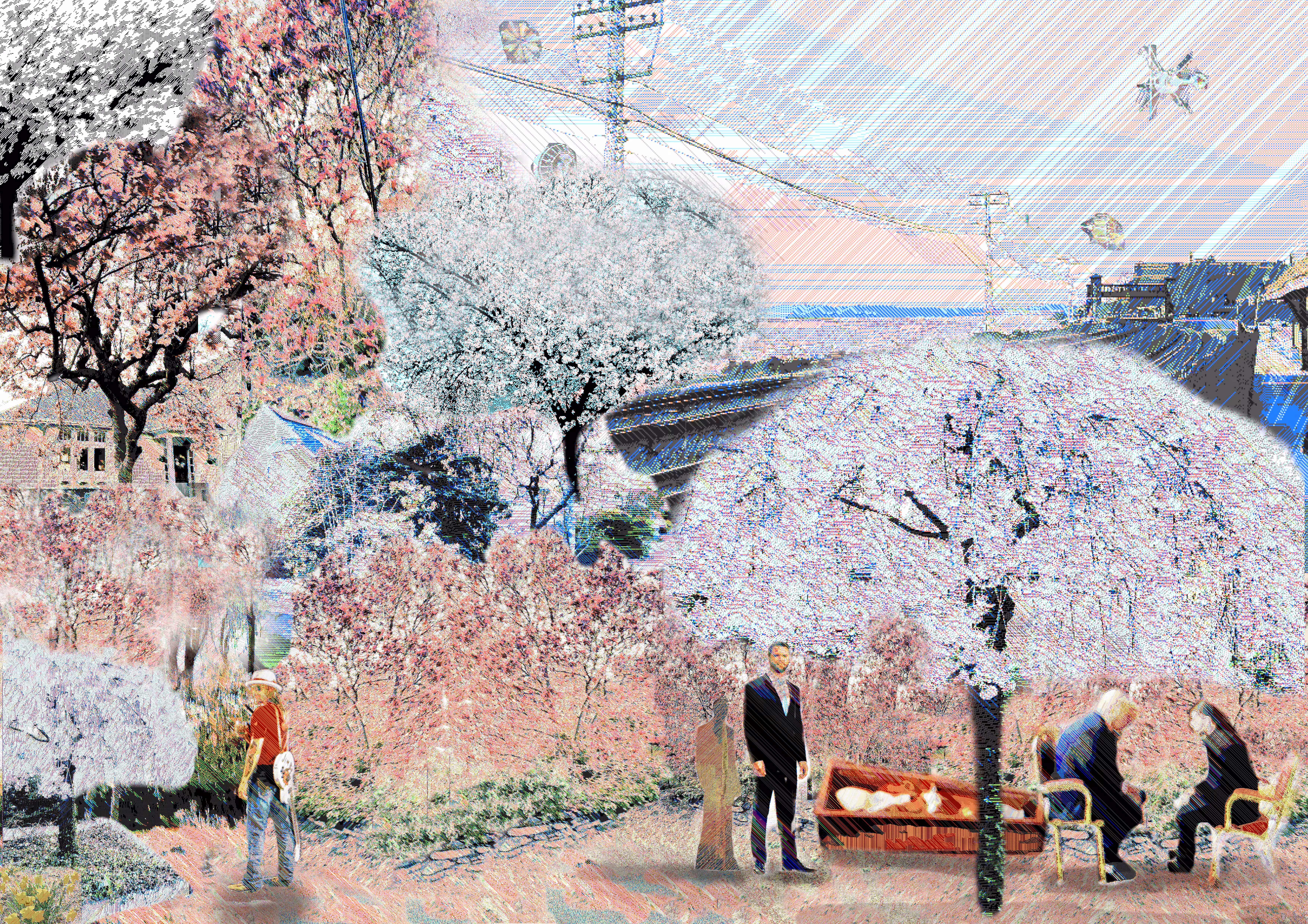 Strange Hanami of 2025