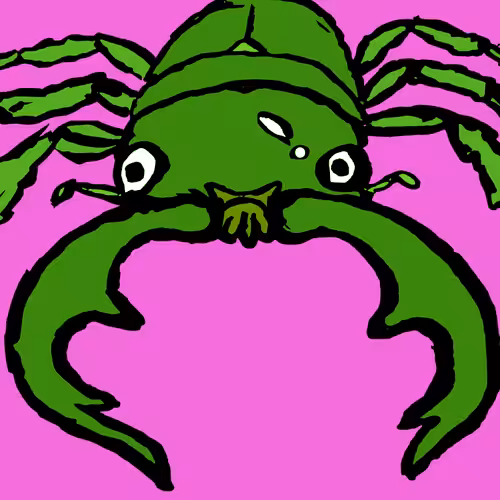 Stag beetle_z02
