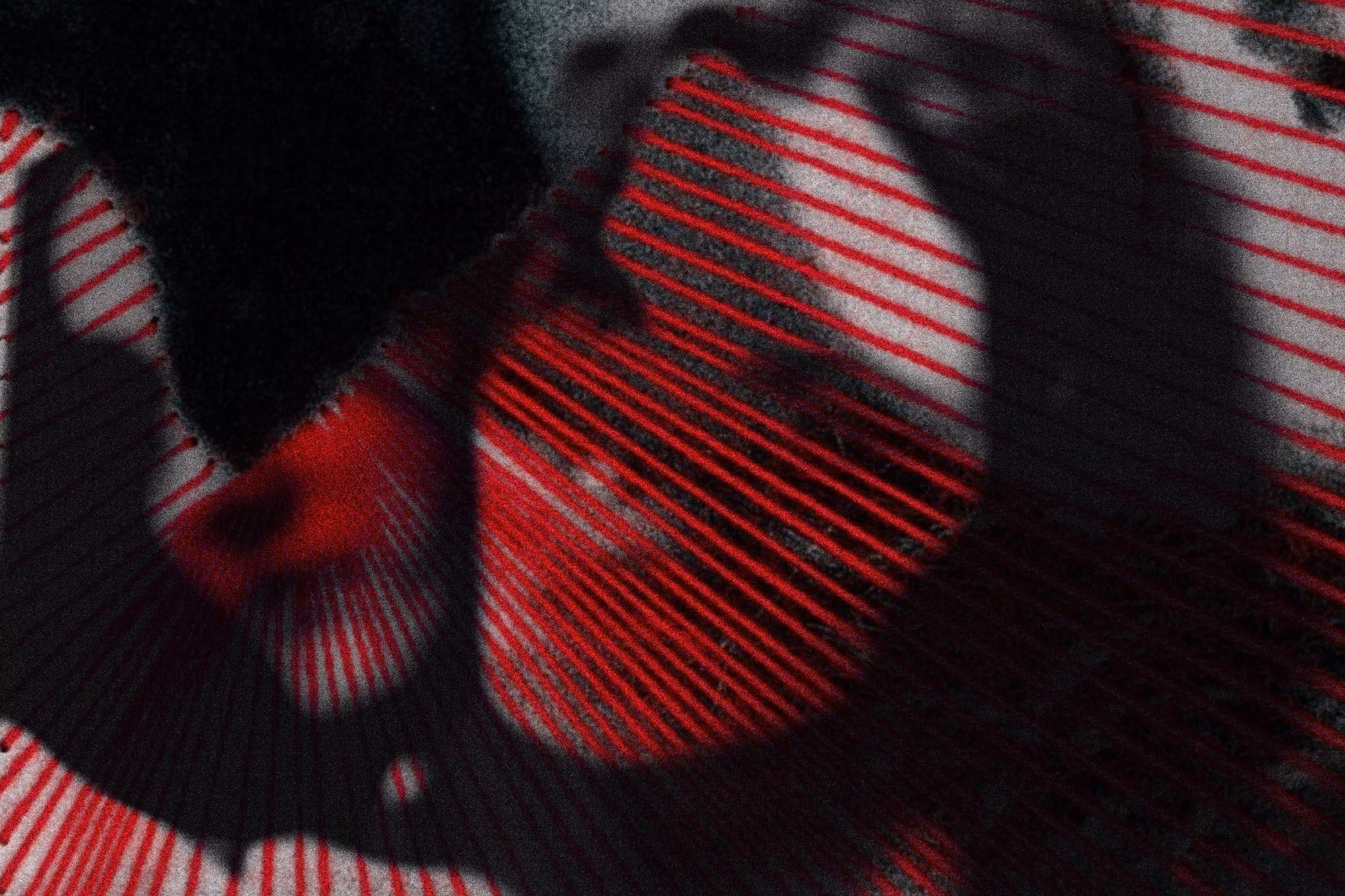 PM 02