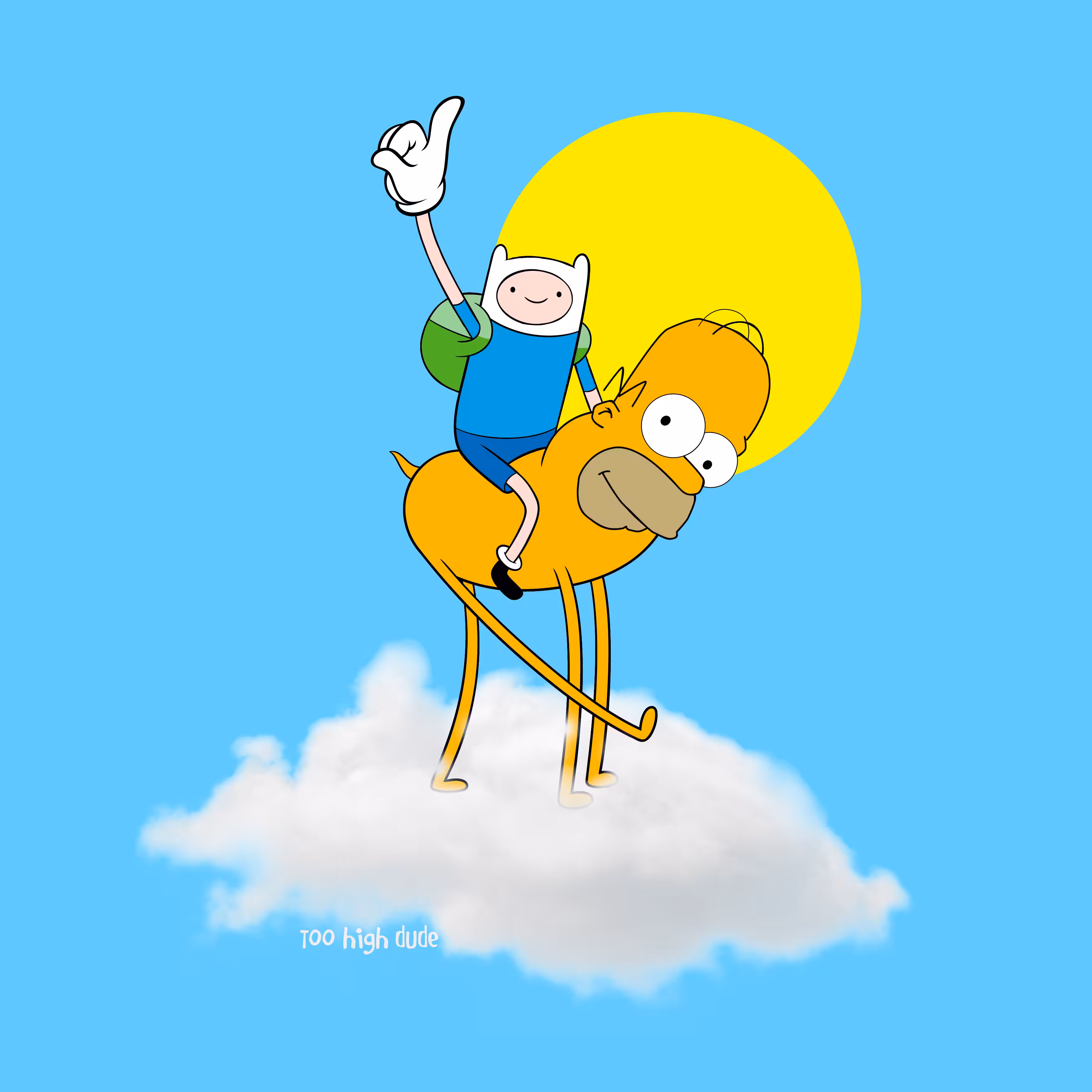 TOO HIGH DUDE