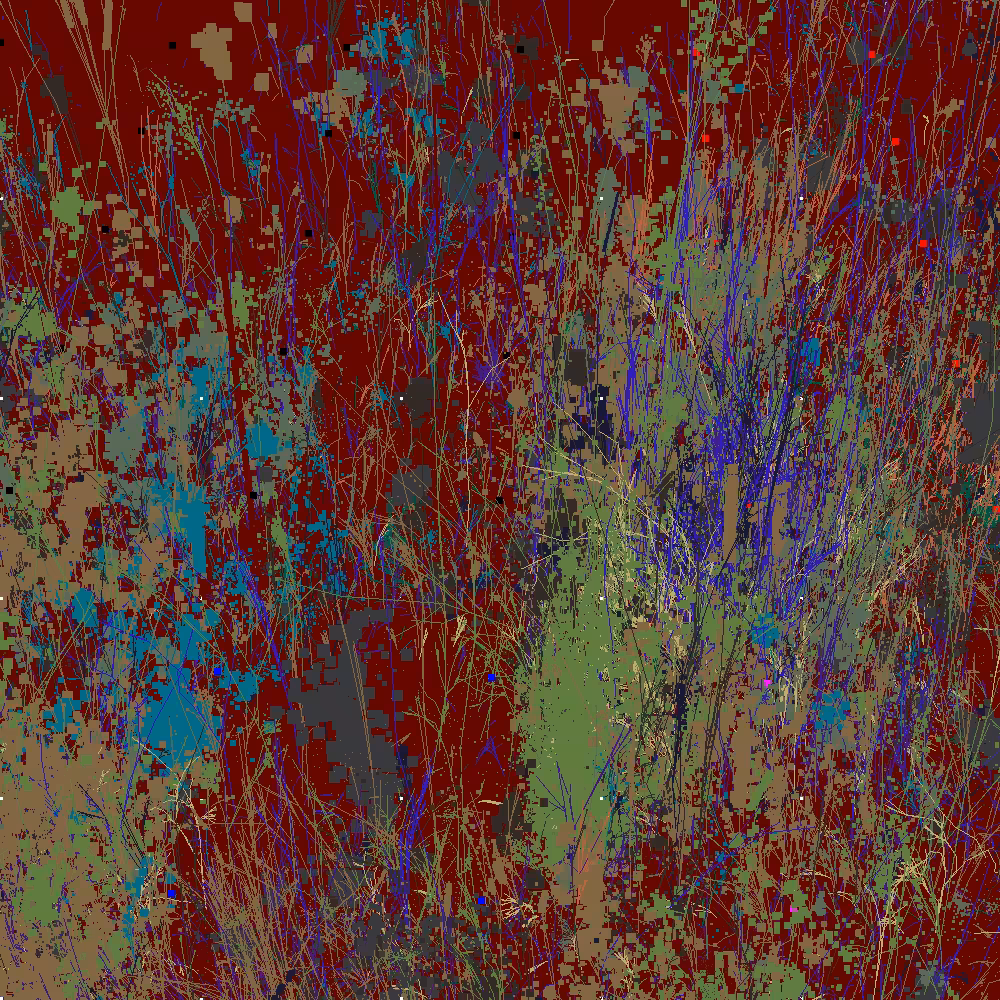 Infinite Garden: 61731 Flowers