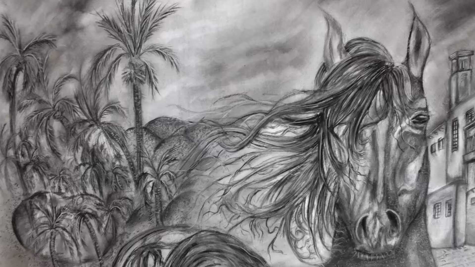 Wild horse