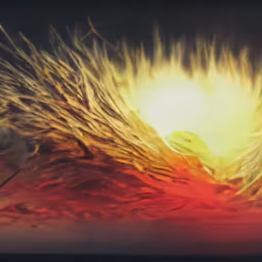 sunset 07
