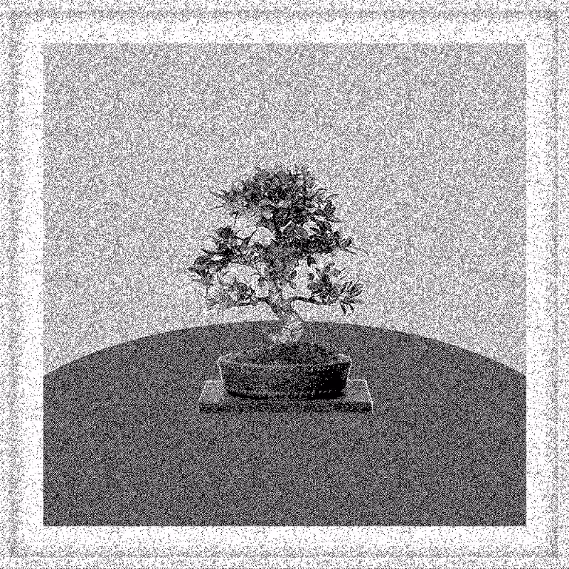 Bonsai Bonanza #784