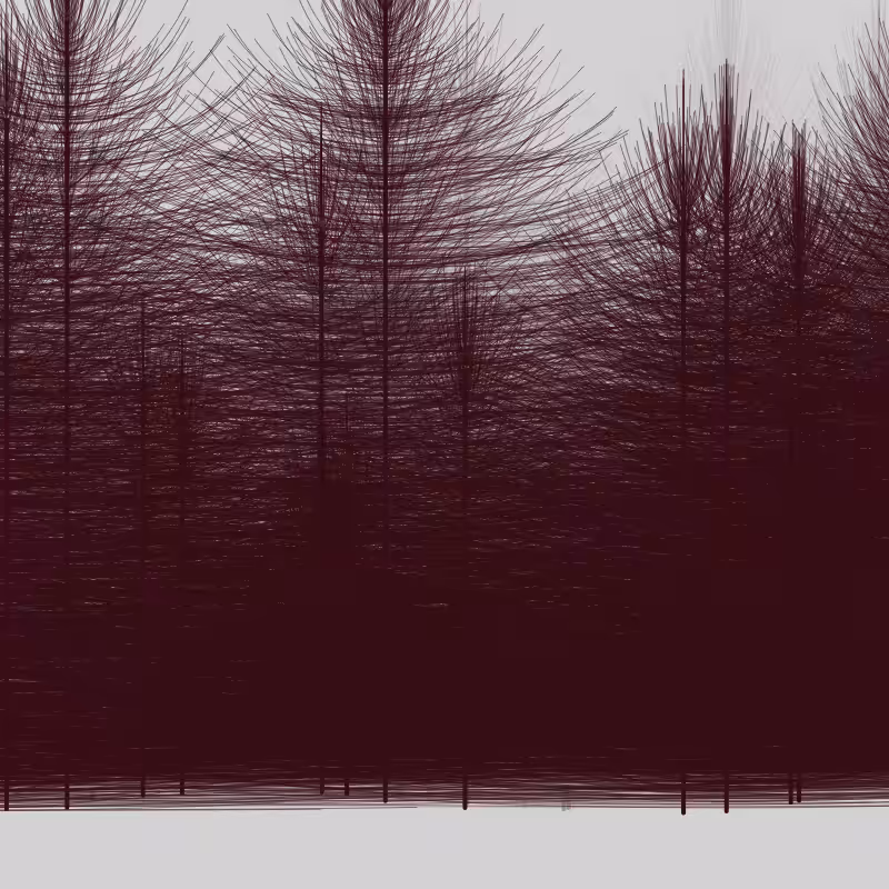 Elfin Forest #10