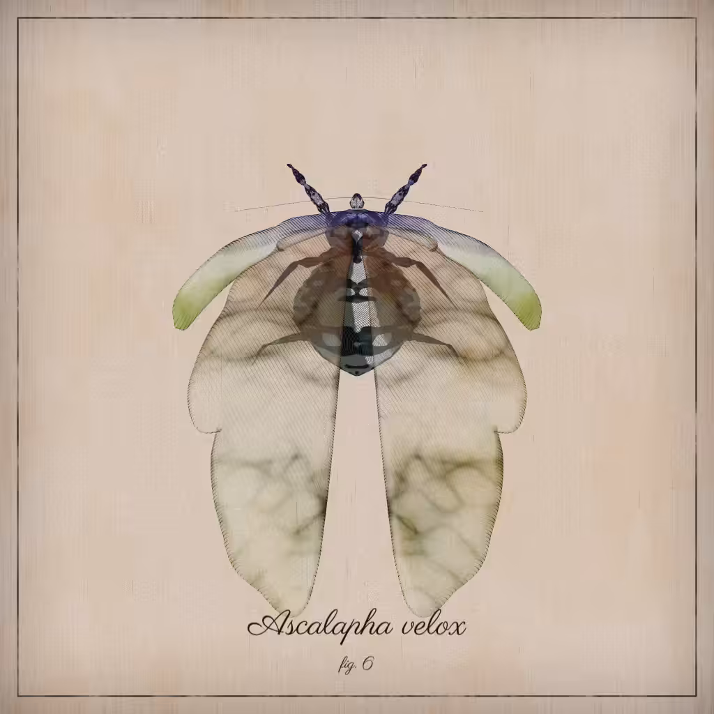 ProcGen Entomology #54