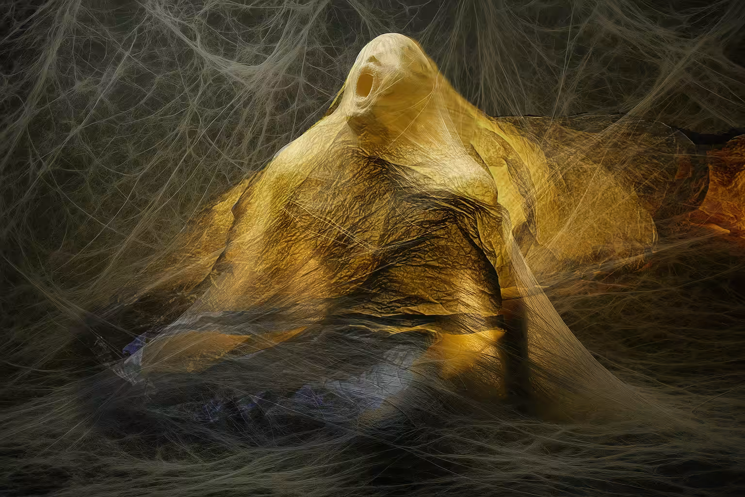 Pre-Form 004：Emergence