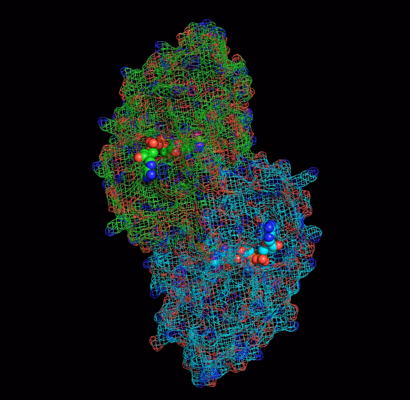 Alcohol Dehydrogenase – ADH1A active site
