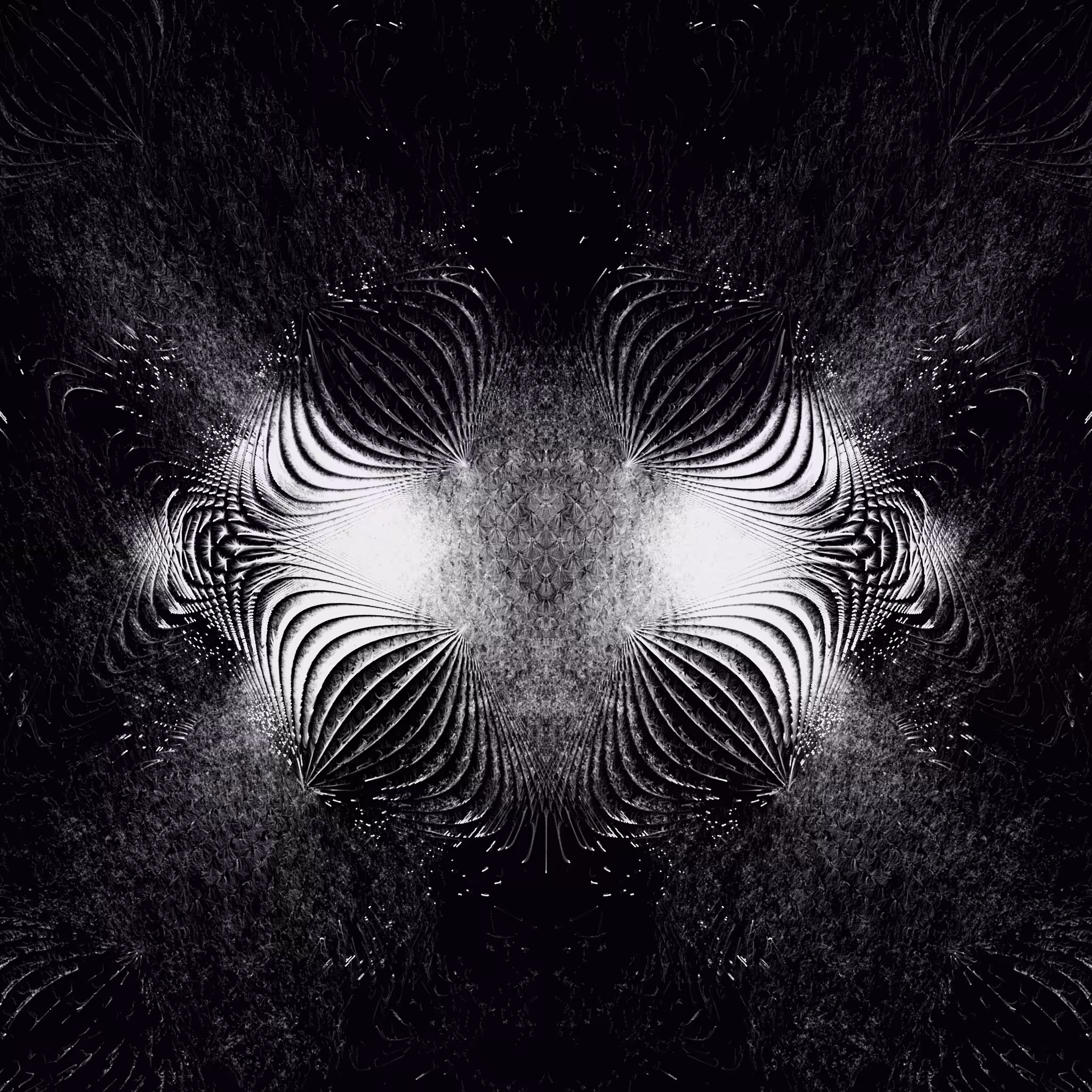 Amerkle #536