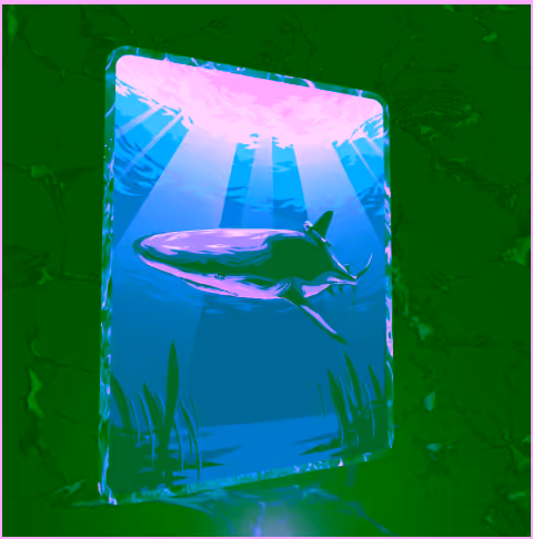 Reef Shark - Camera Tag