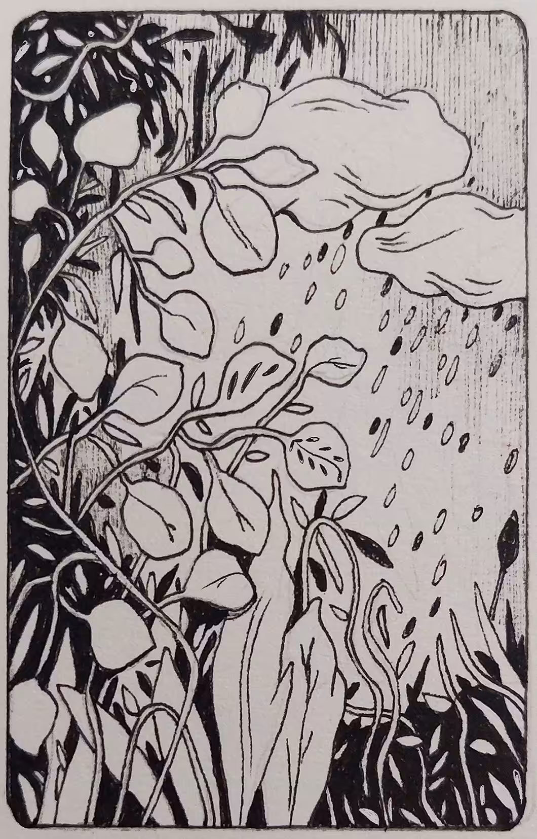 Small Sketch #5