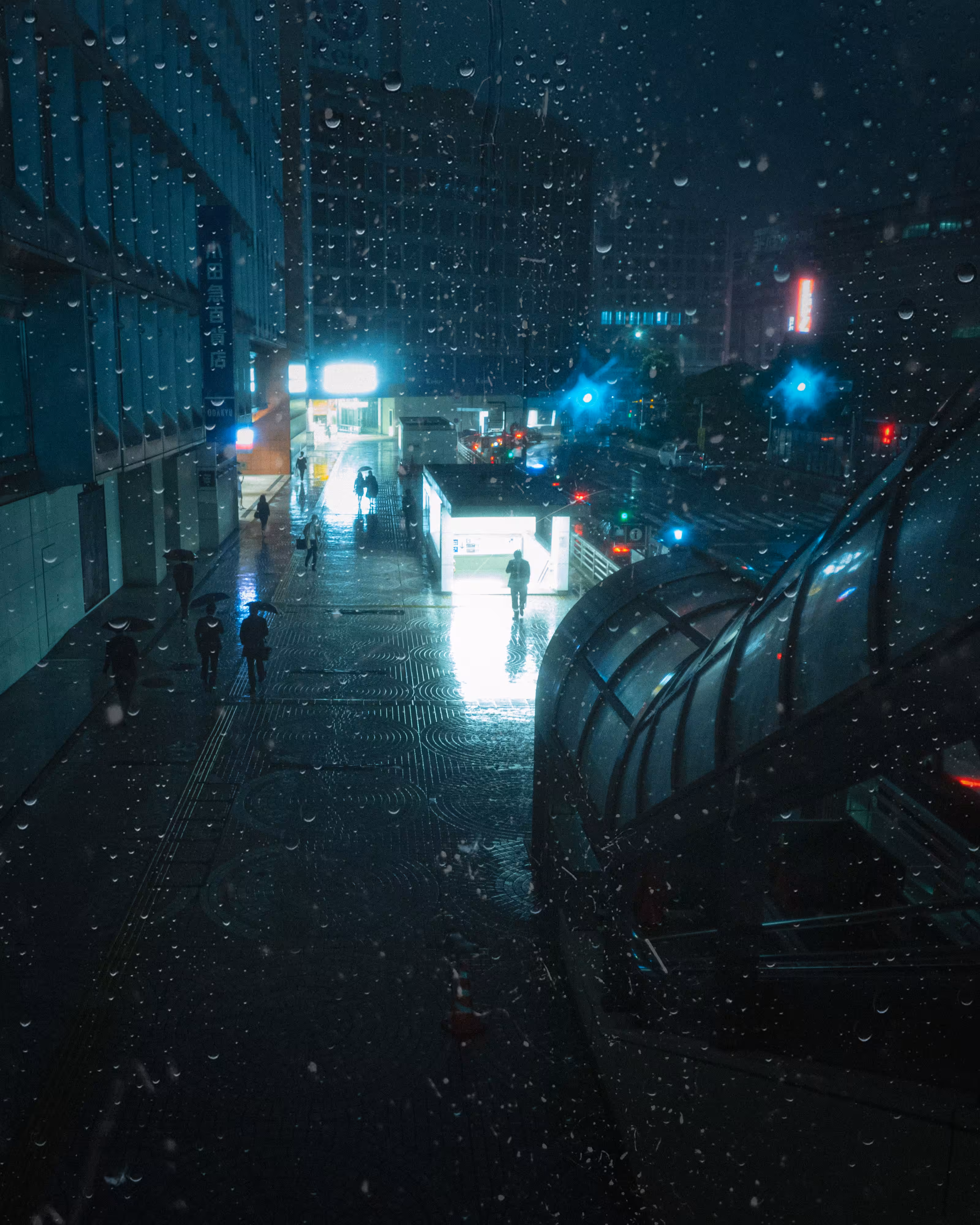 Into the Light | 光の中へ