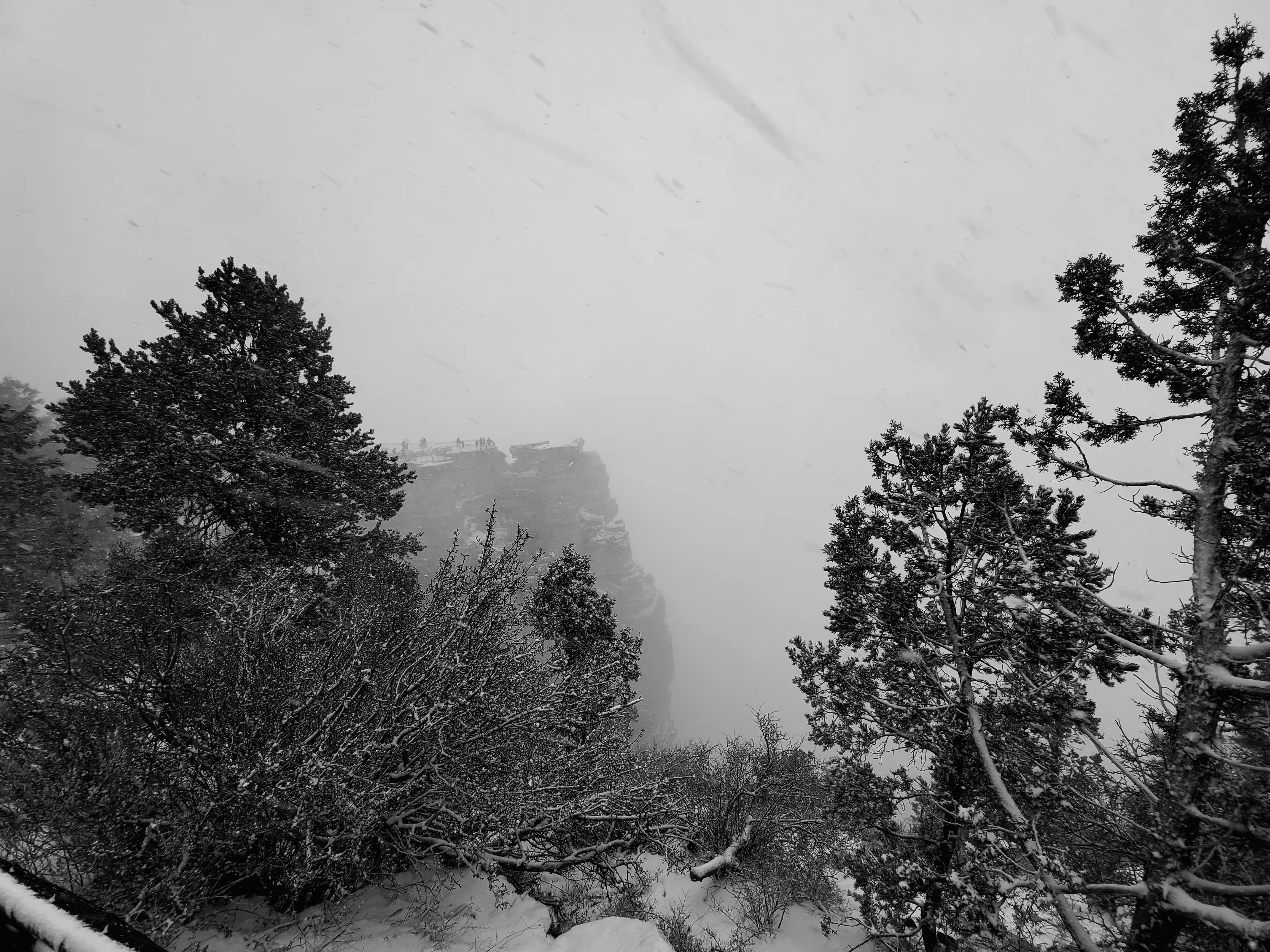 Grand Canyon National Park - Mather Point