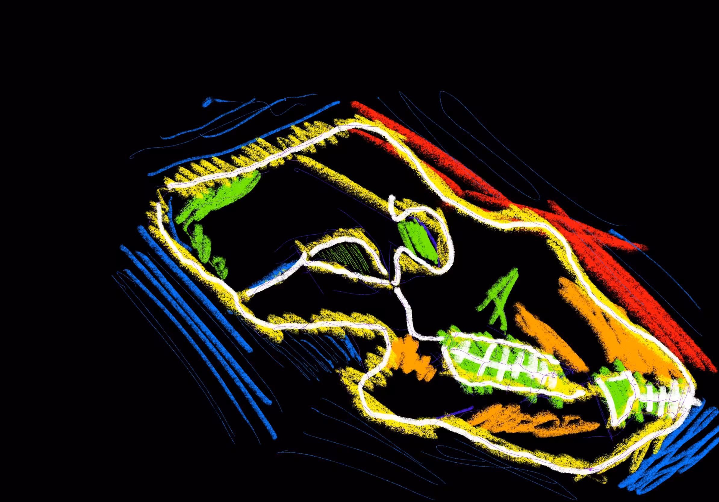 GM! #26 - animal skull of color
