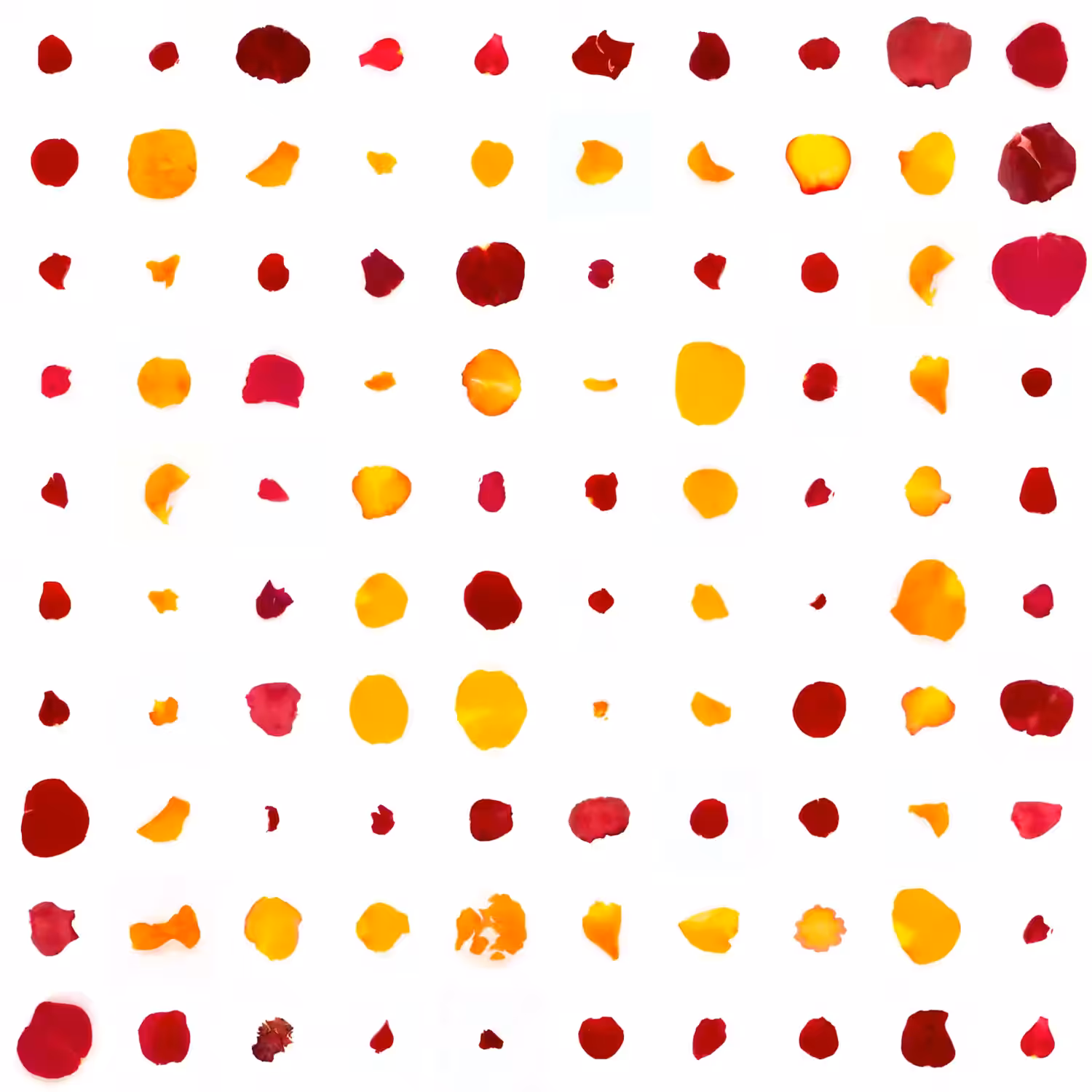 Infinite Petals 10x10#20020