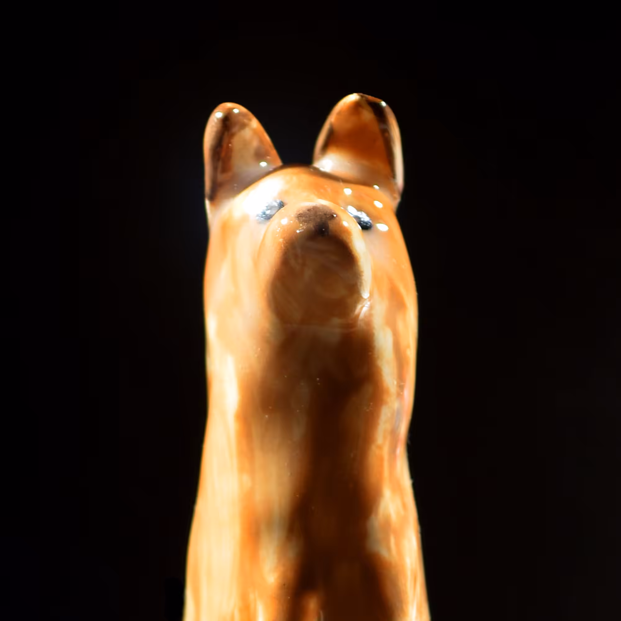 pfpup#0070