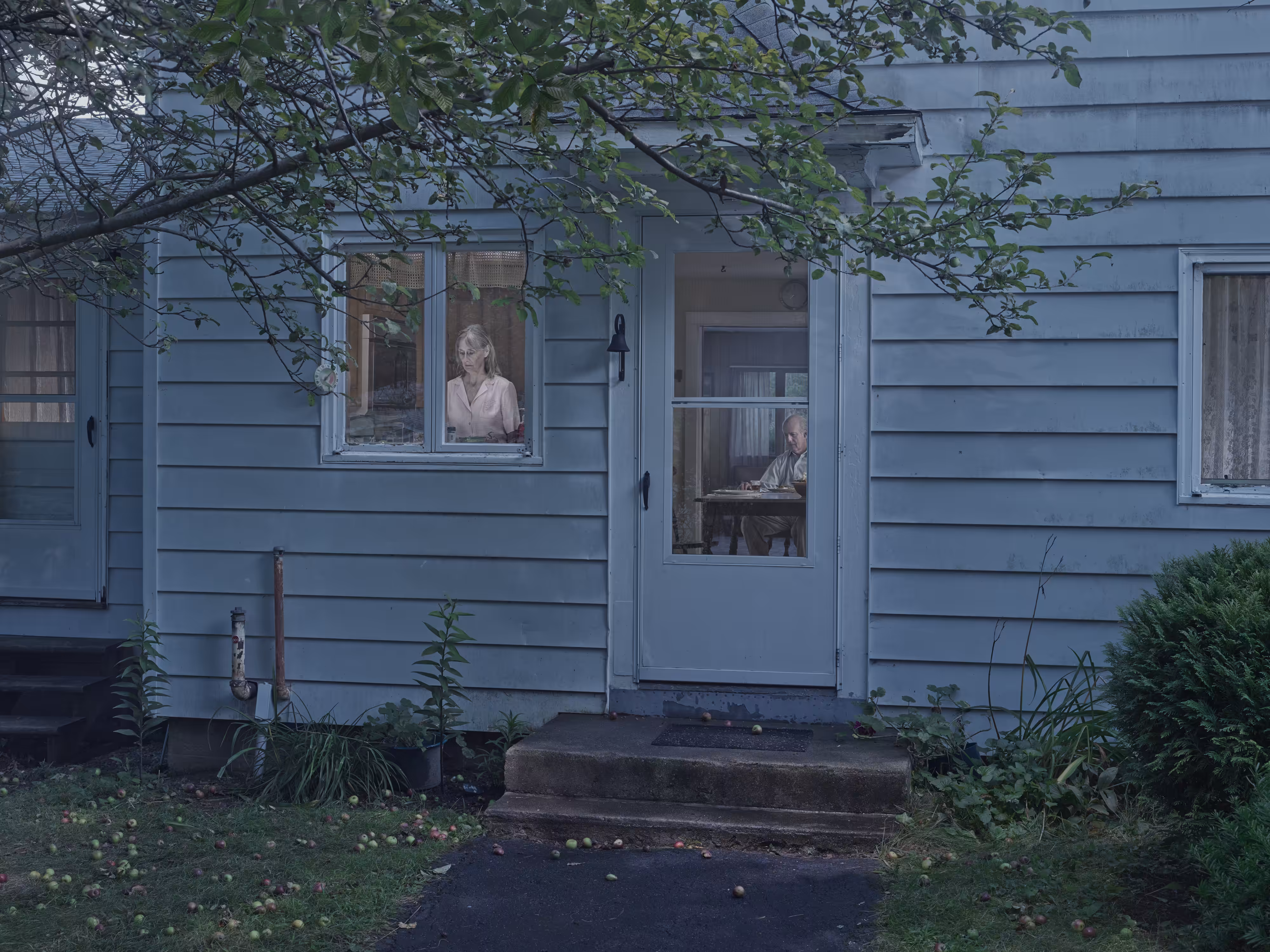 Woman at Kitchen Window, 2013