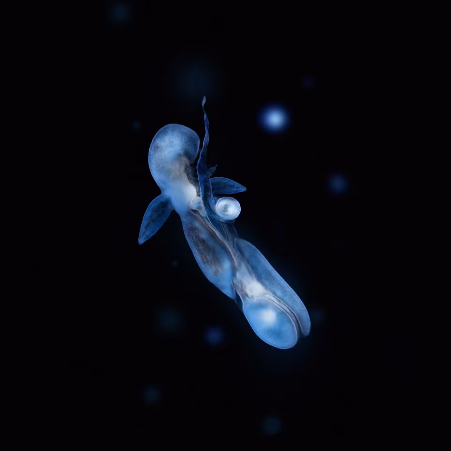 Sperma 68