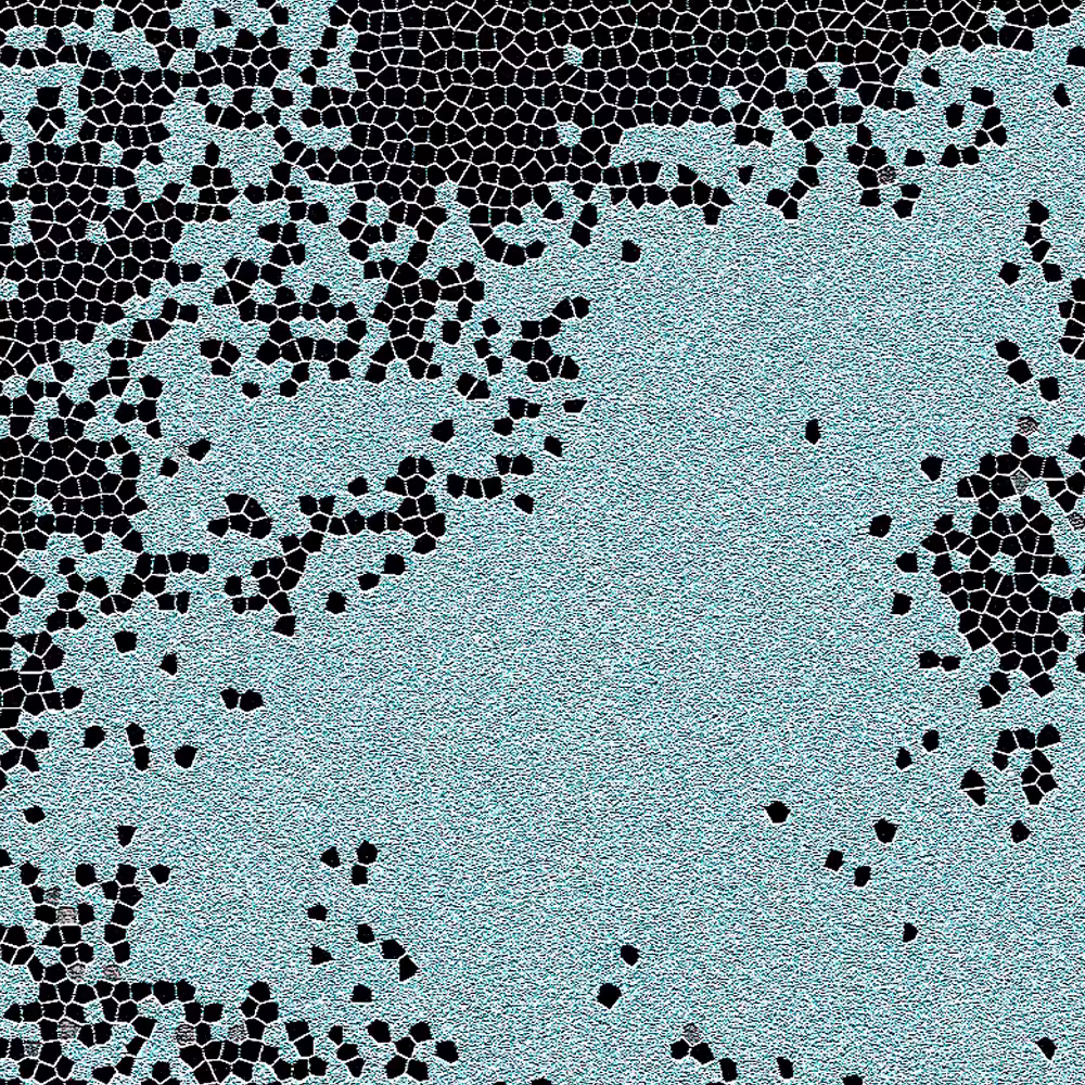 piece of 'O rchid. mo(u)lting' 0003