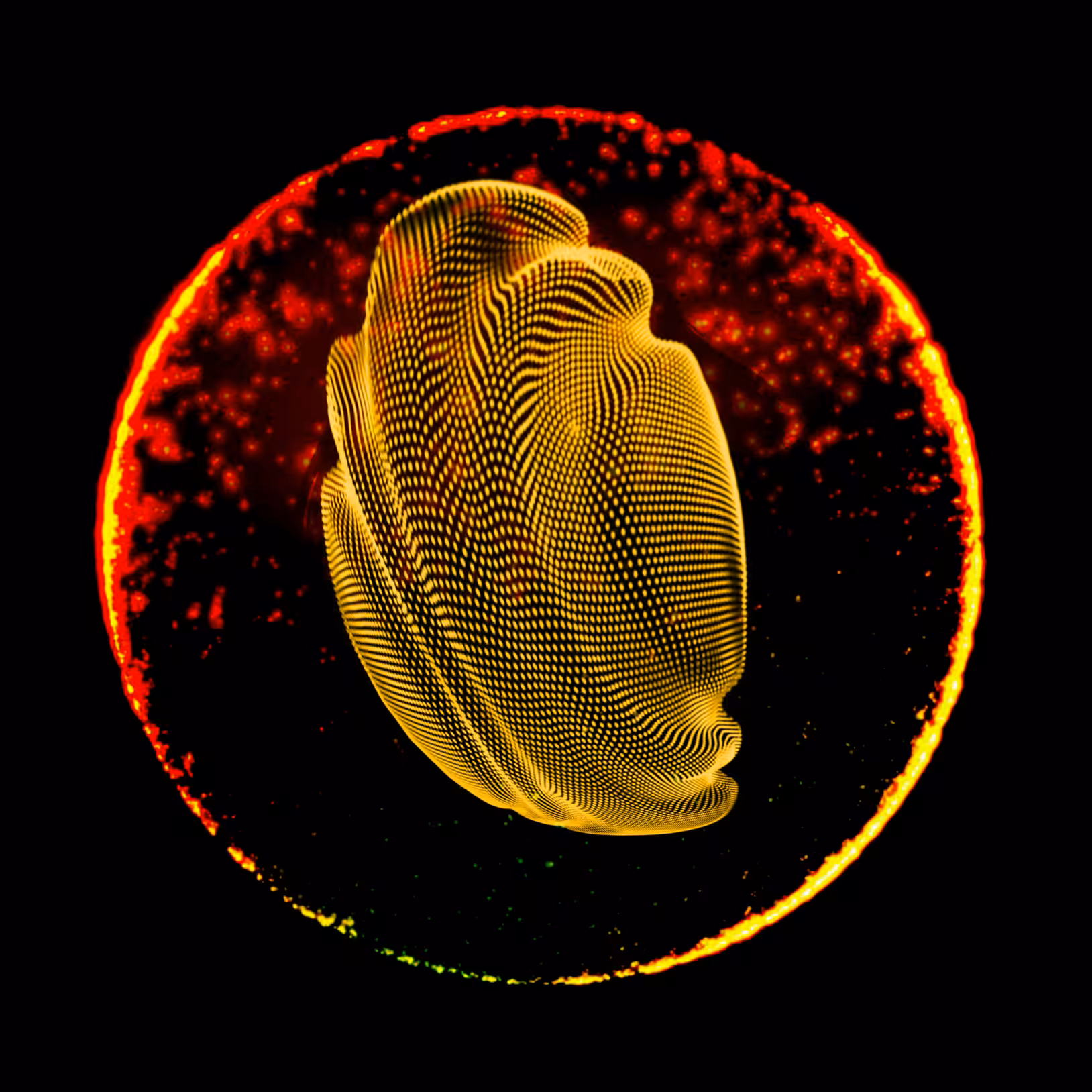 object #107