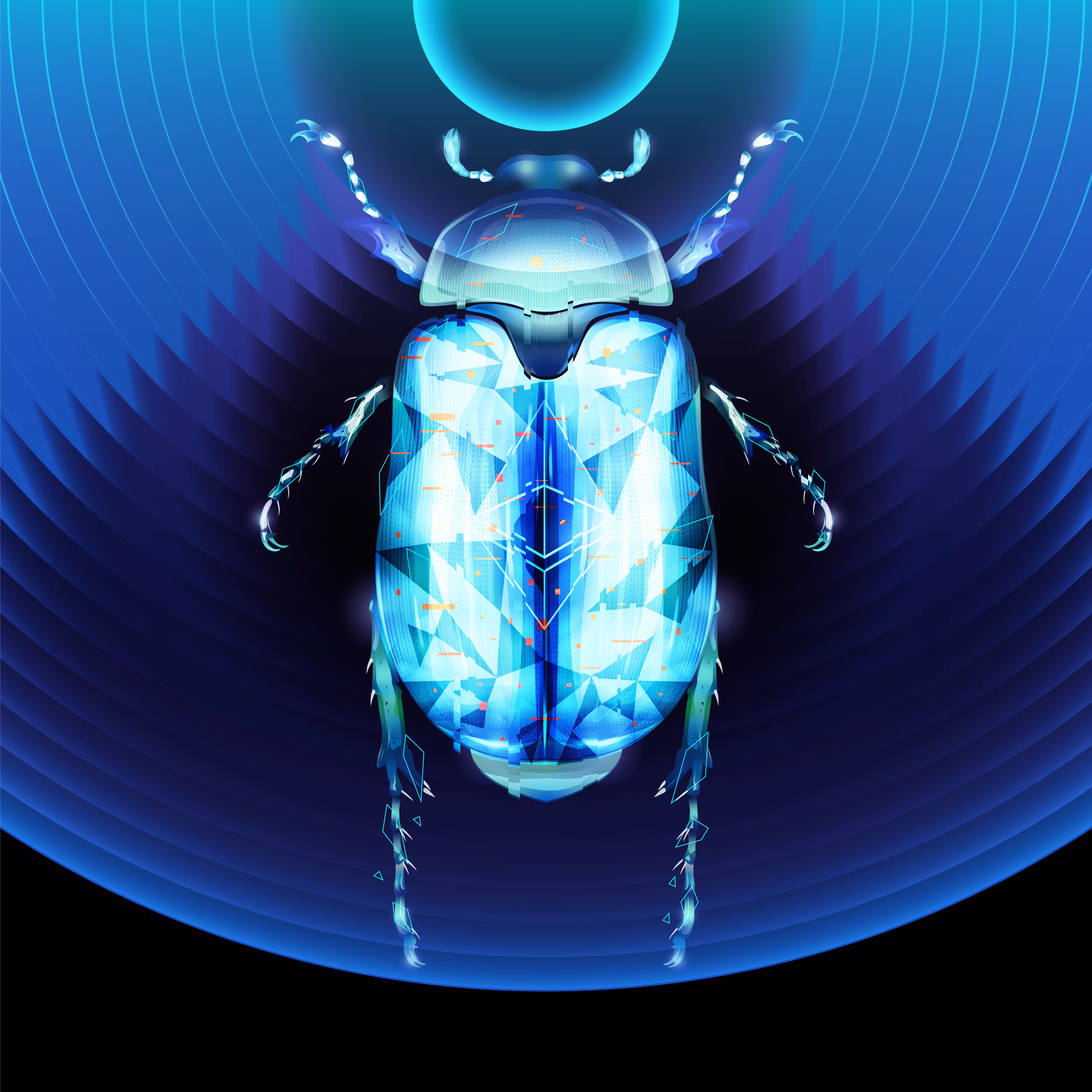 Night CryptoBug