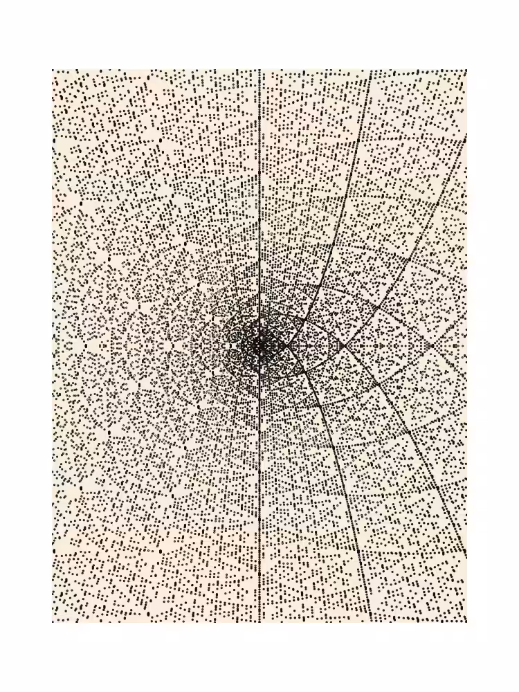 The Shape of Time #81