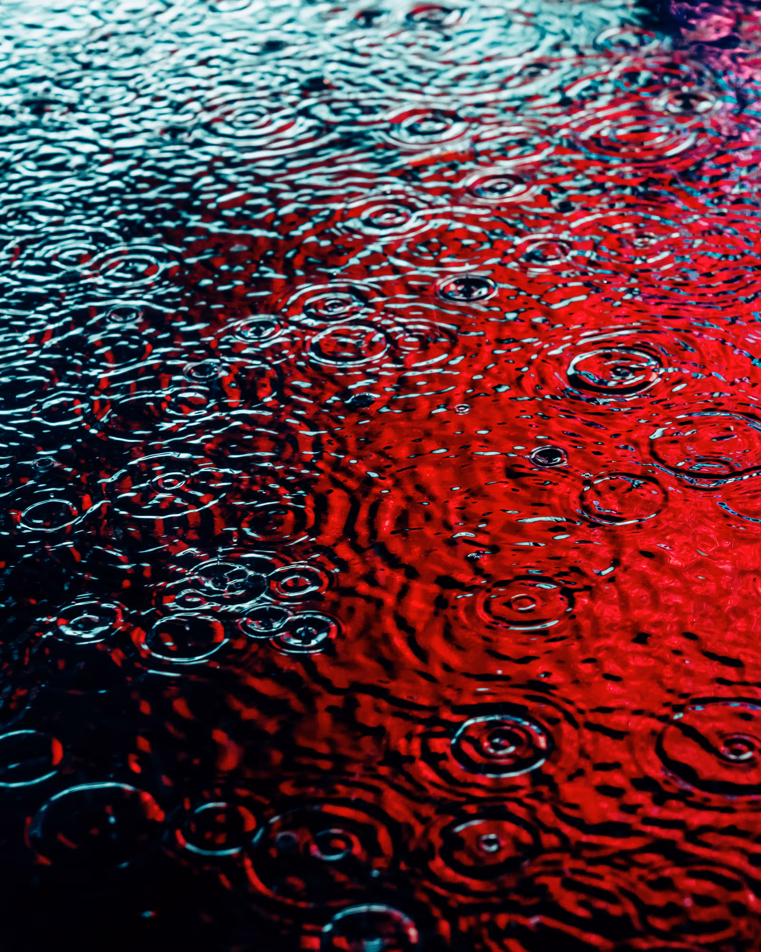 DRIP #736