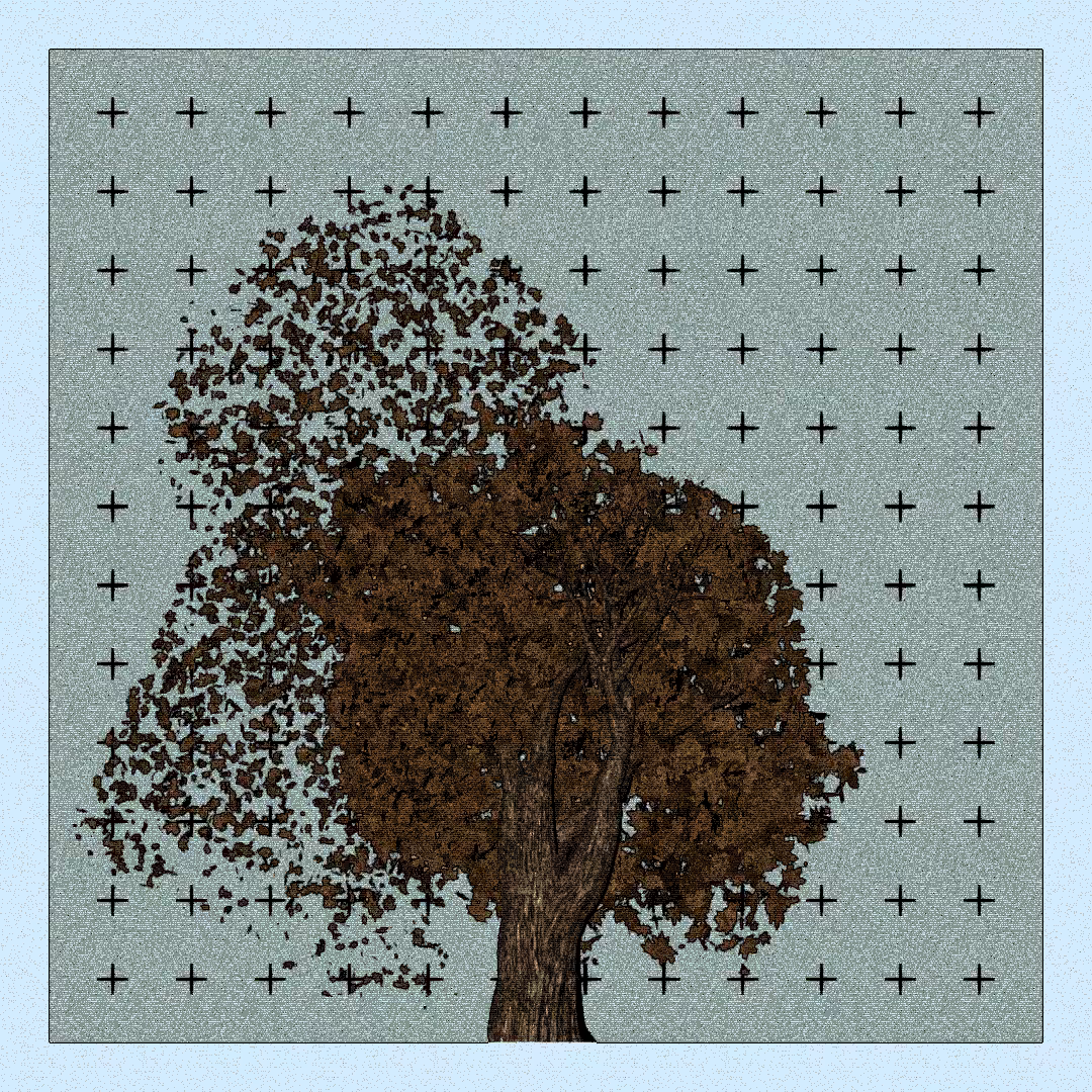 _argania[primaria] #188