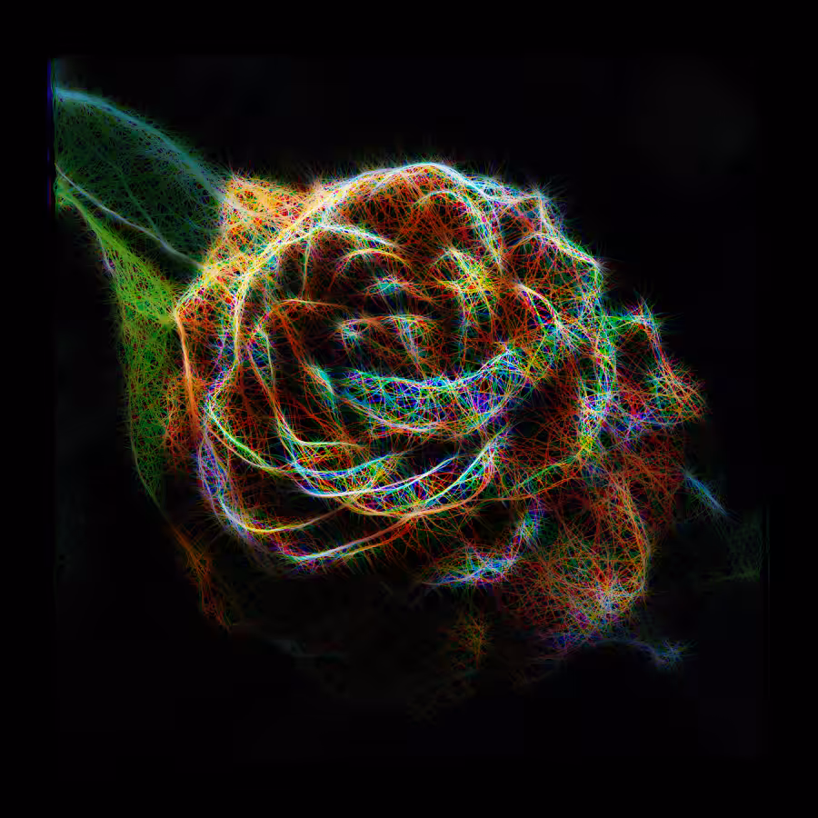 Absolute Camellia