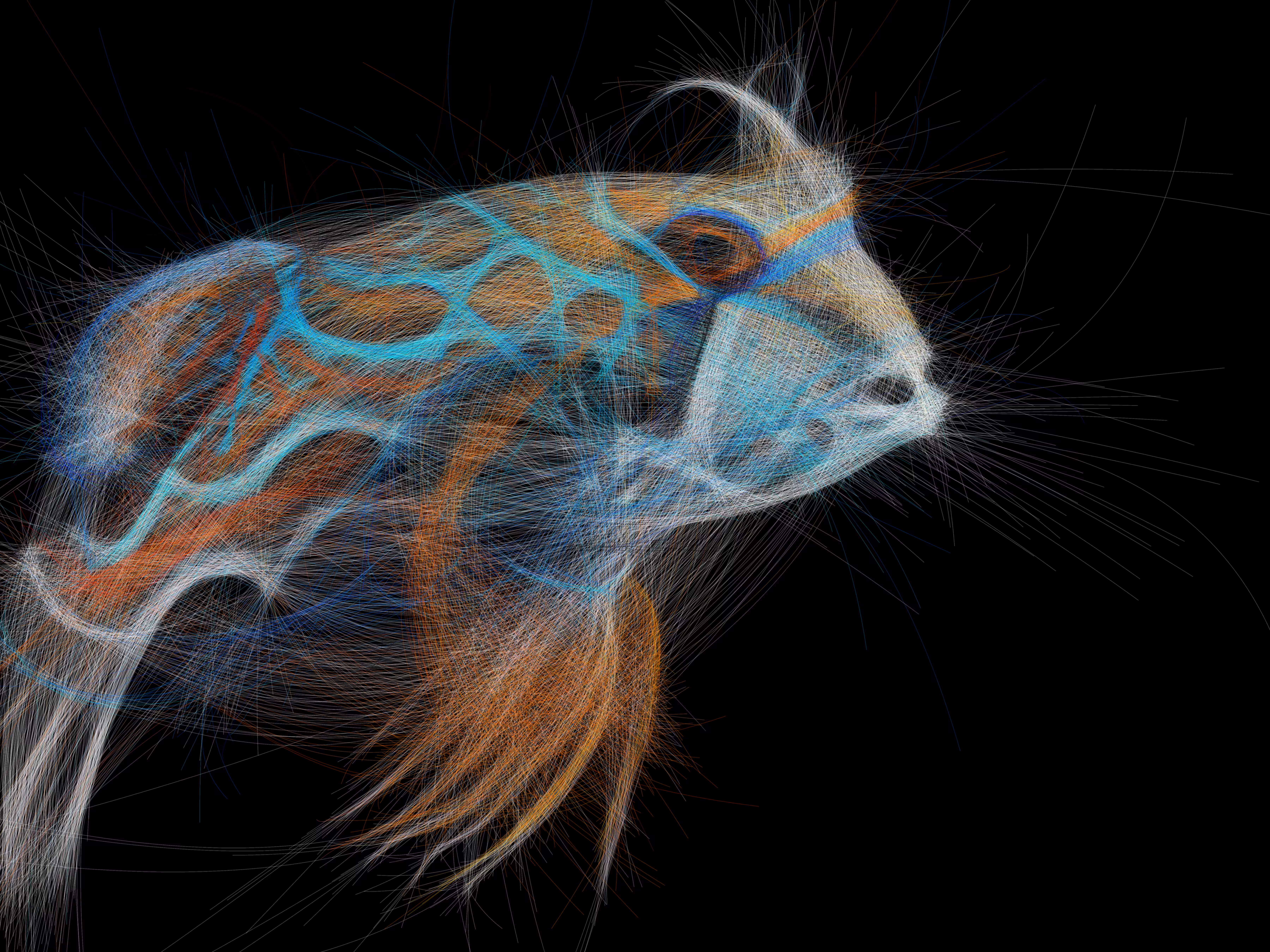 Underwater 226