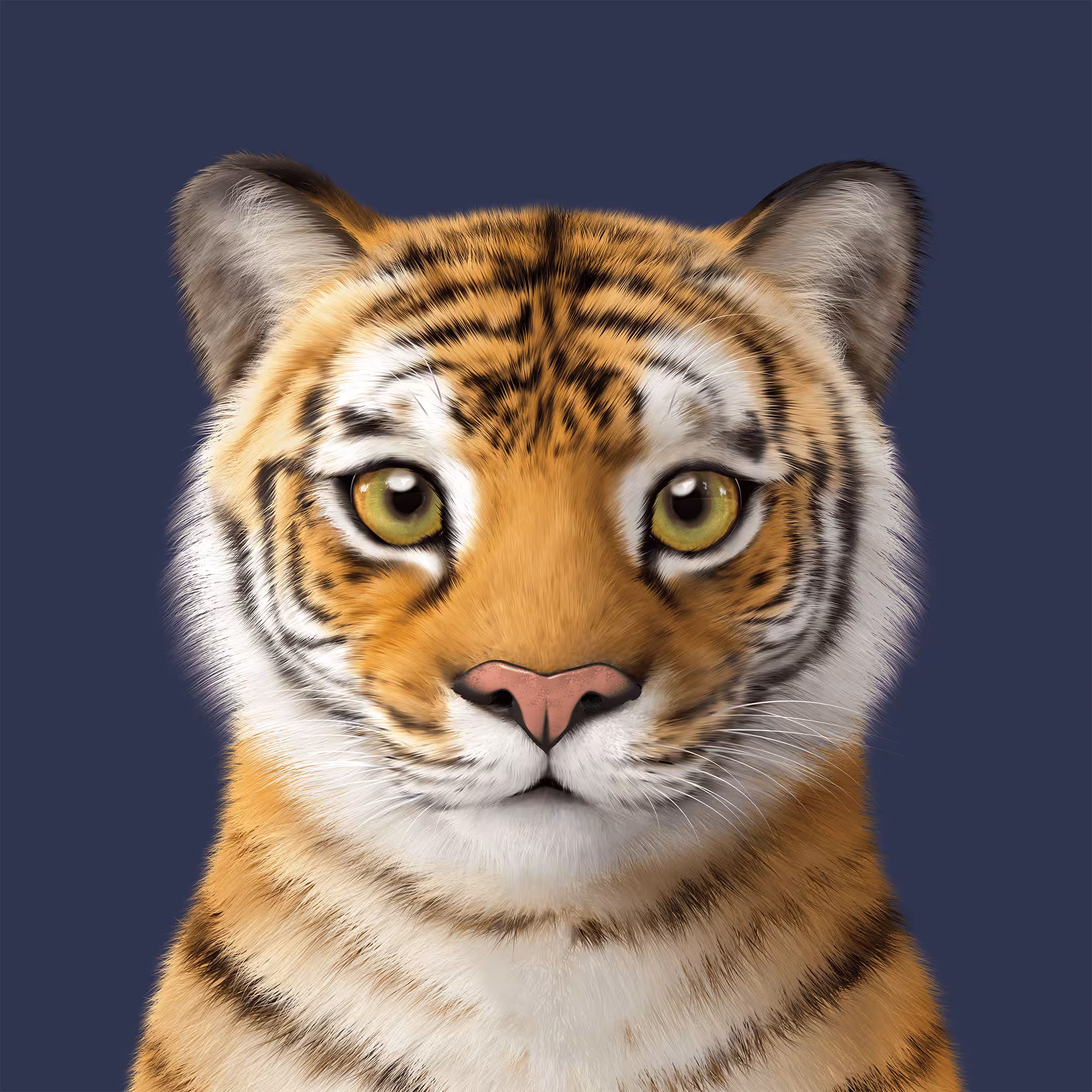 Sugar Cat & Candy Doggie: #400 Tigris the Siberian Tiger