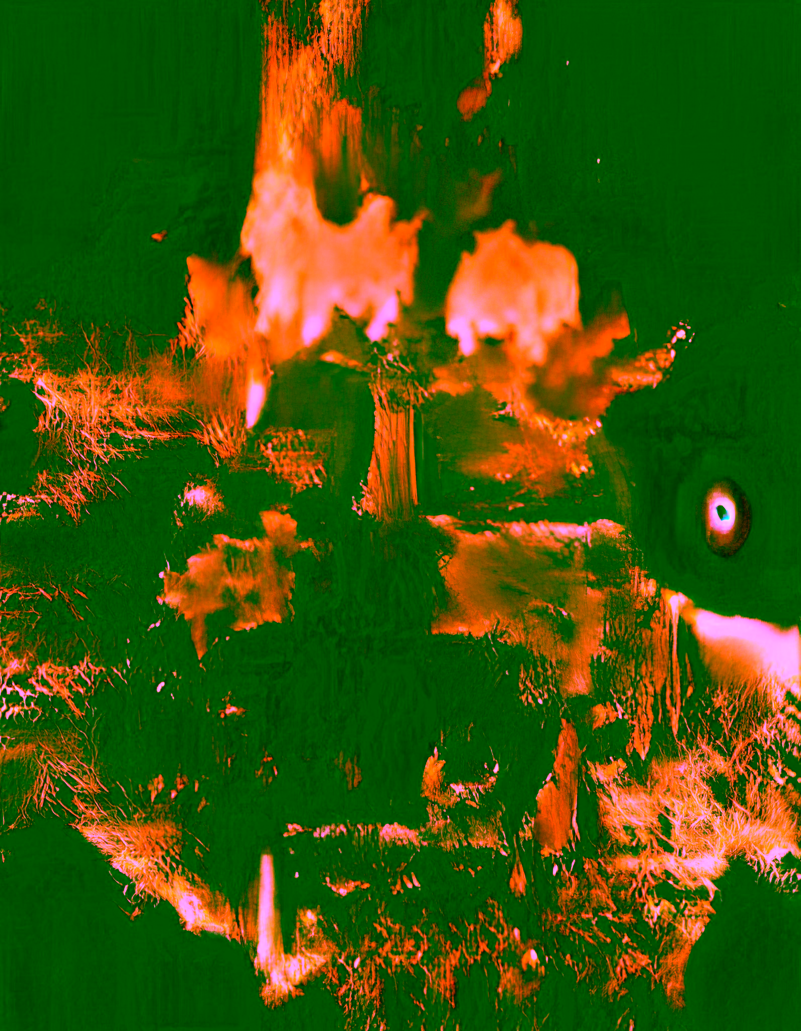Vision Through Flames